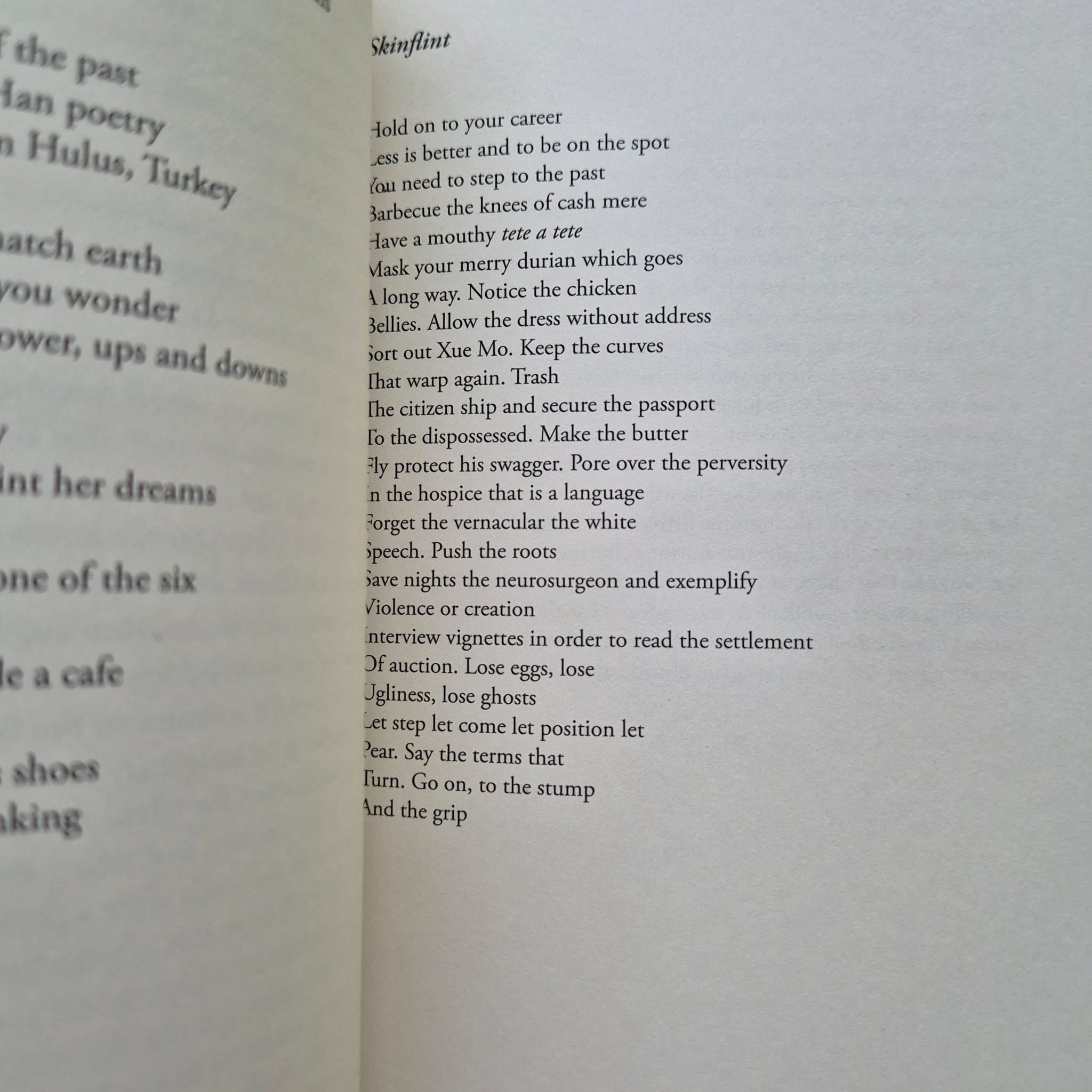 'Fainting with Freedom' by Ouyang Yu