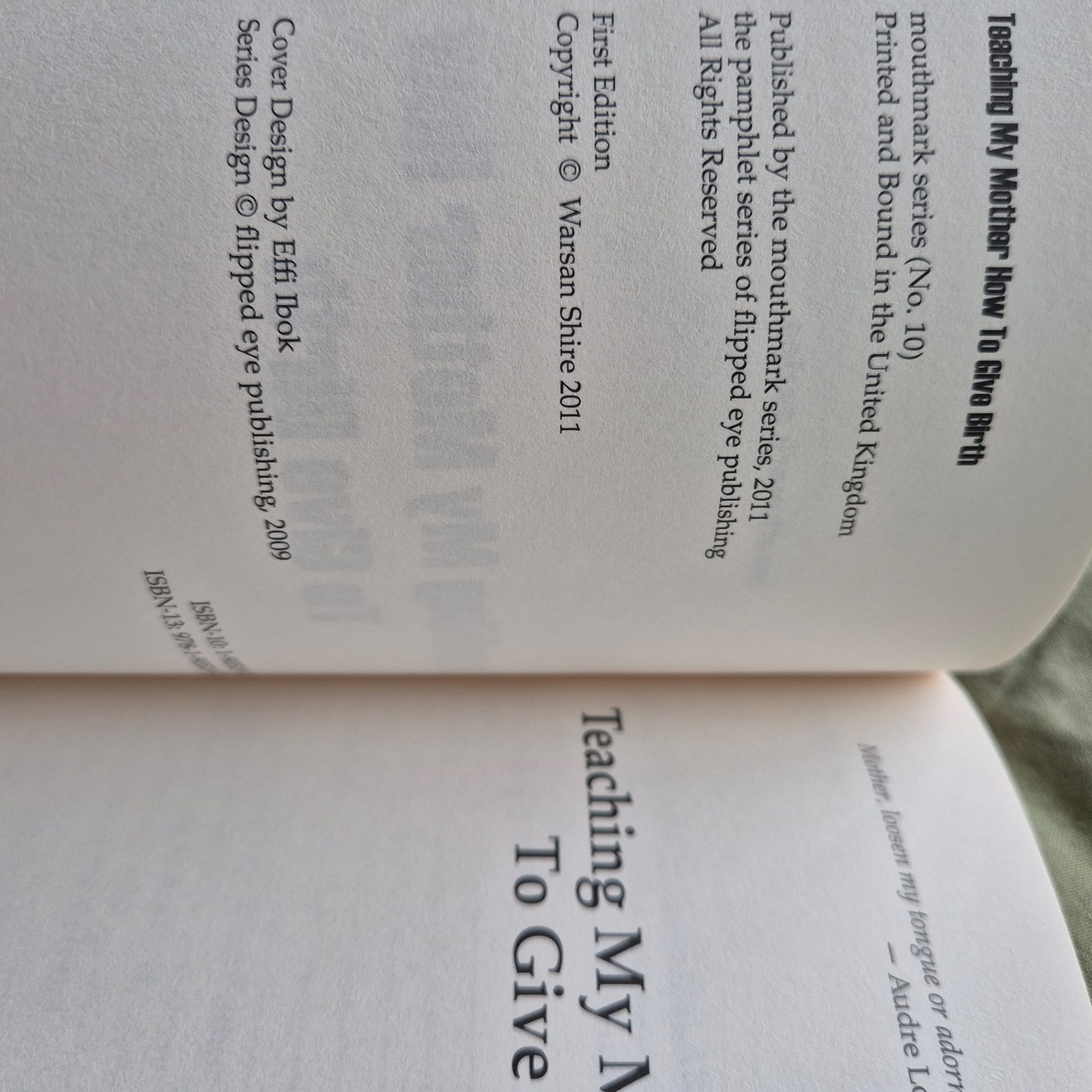 Teaching My Mother How to Give Birth by Warsan Shire