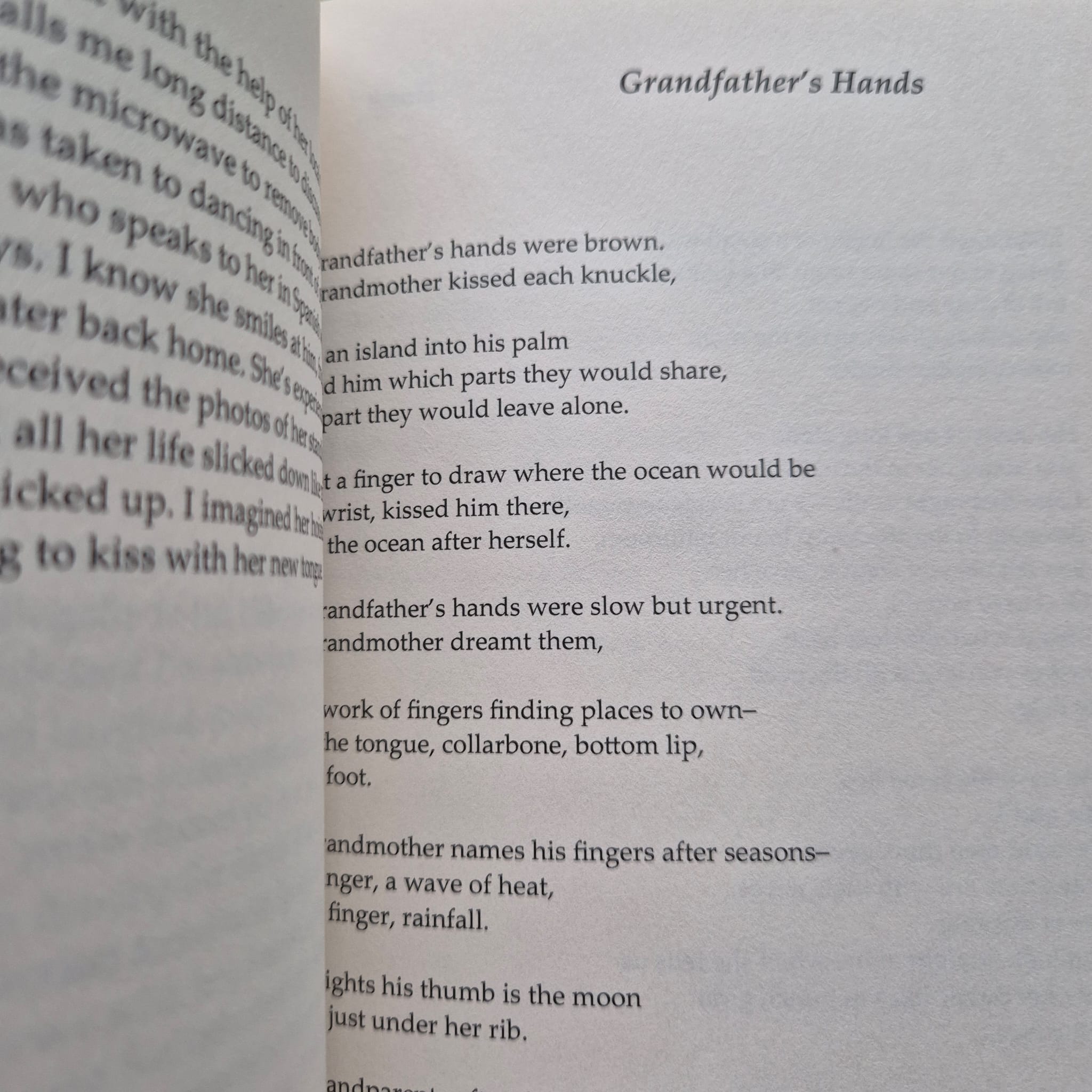 Teaching My Mother How to Give Birth by Warsan Shire