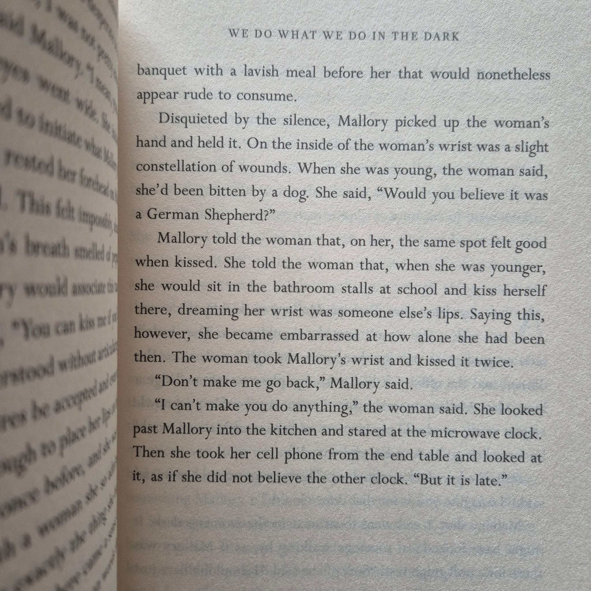 'We Do What We Do in the Dark' by Michelle Hart