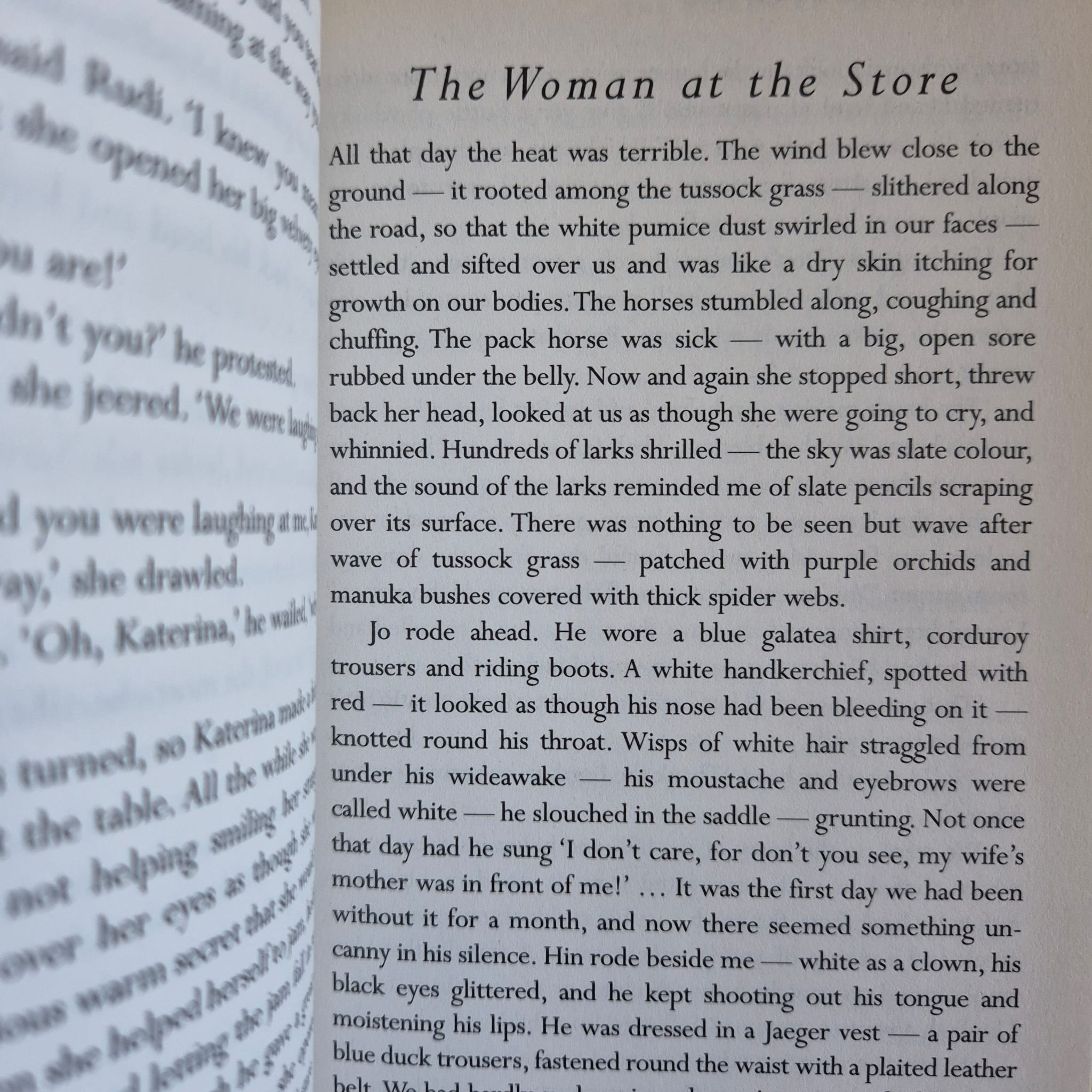 'New Zealand Stories' by Katherine Mansfield