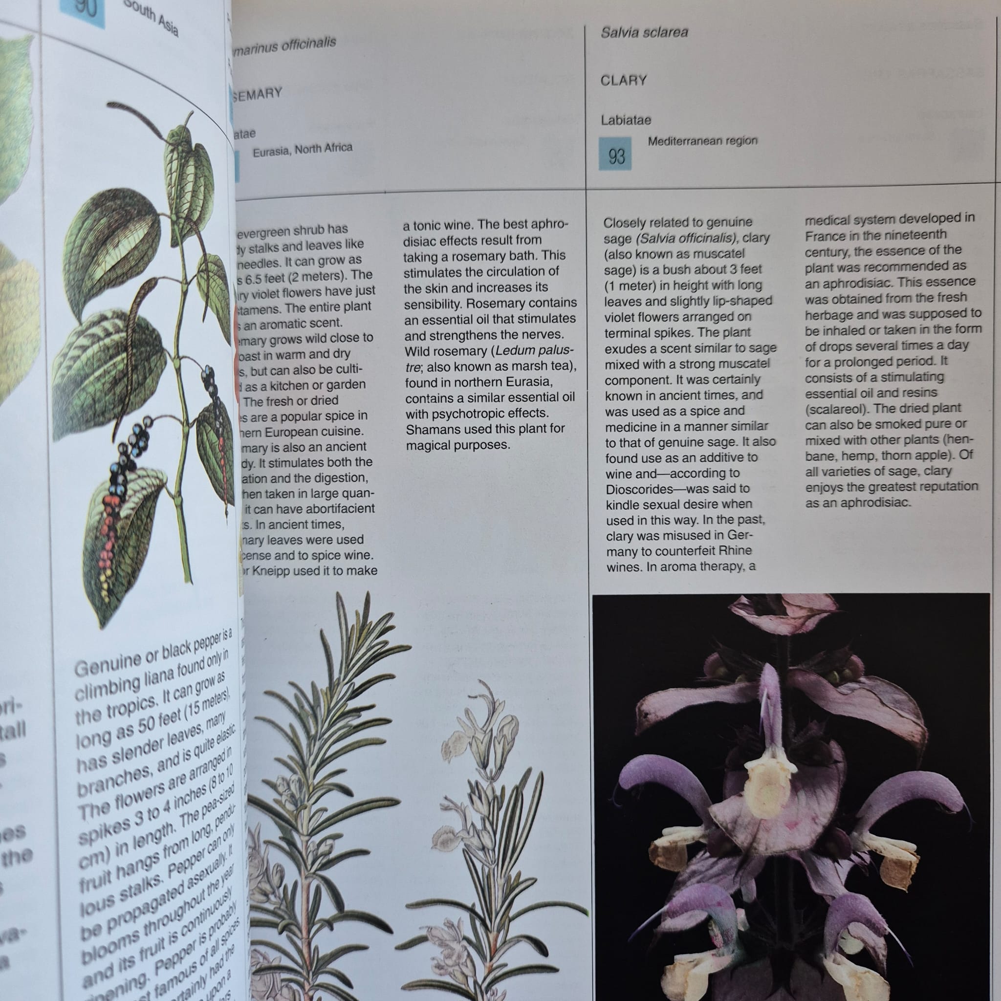 'Plants of Love' by Christian Rätsch