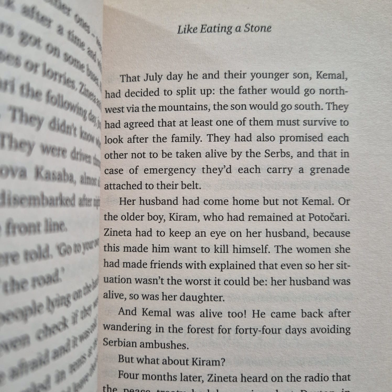 ‘Like Eating a Stone: Surviving the Past in Bosnia’ by Wojciech Tochman