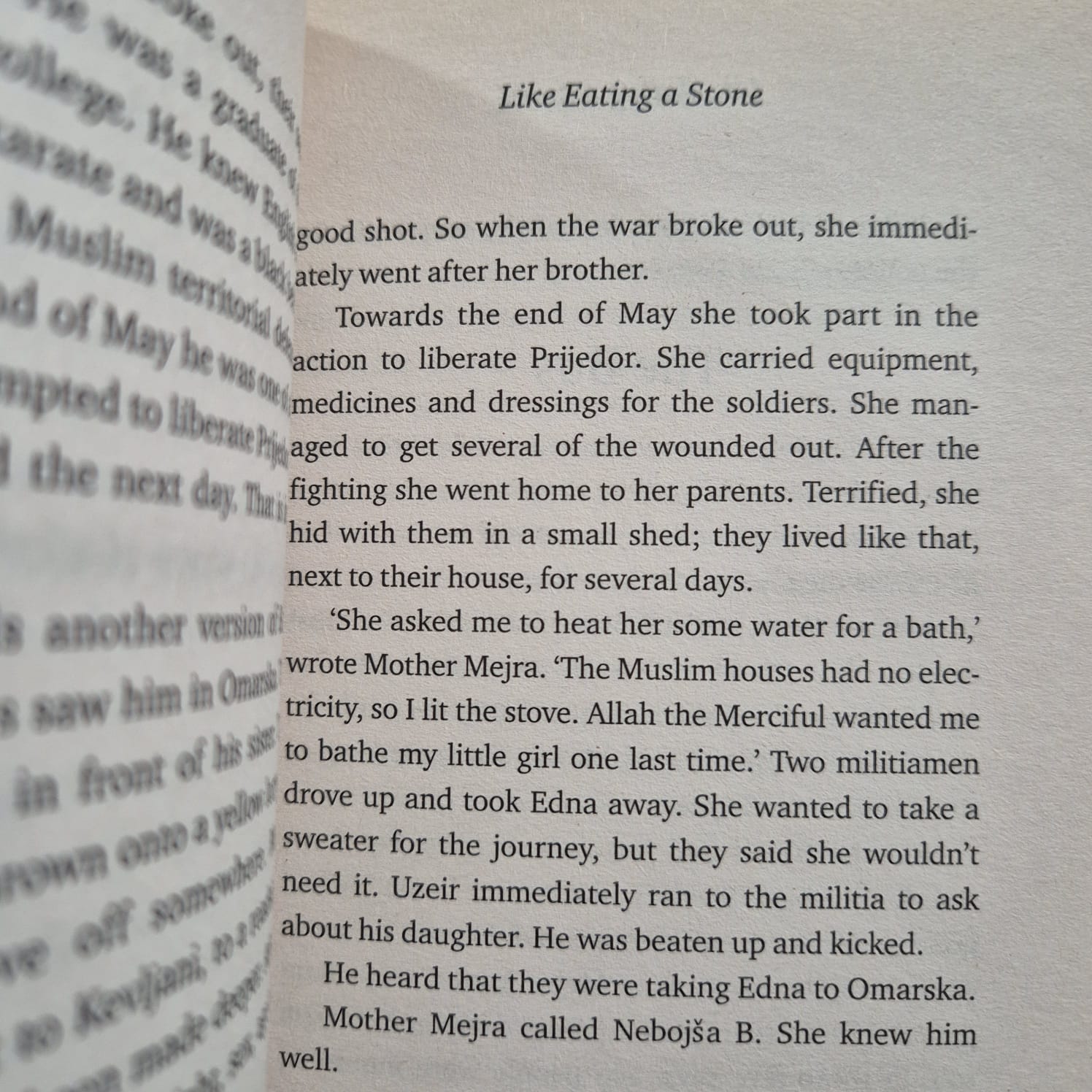 ‘Like Eating a Stone: Surviving the Past in Bosnia’ by Wojciech Tochman