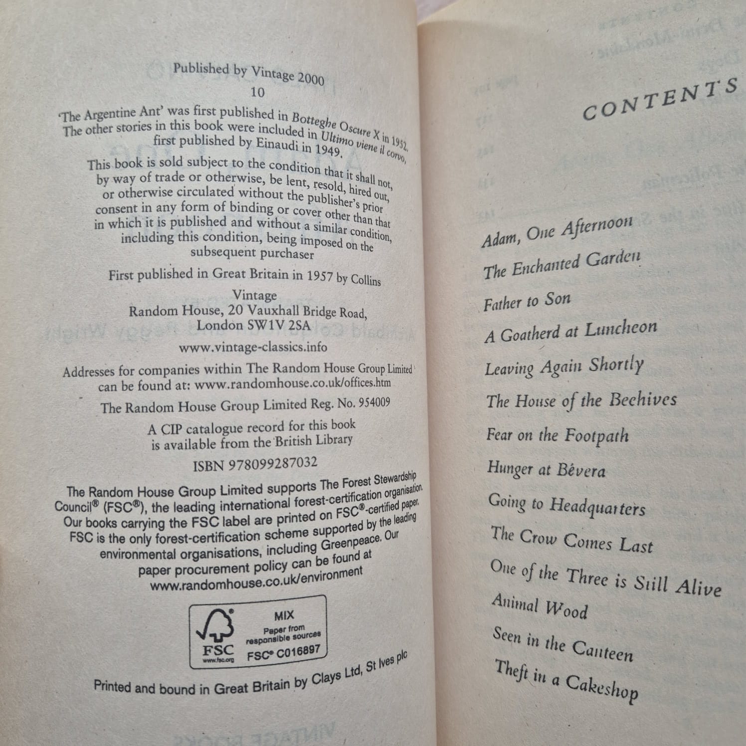 ‘Adam, One Afternoon’ by Italo Calvino