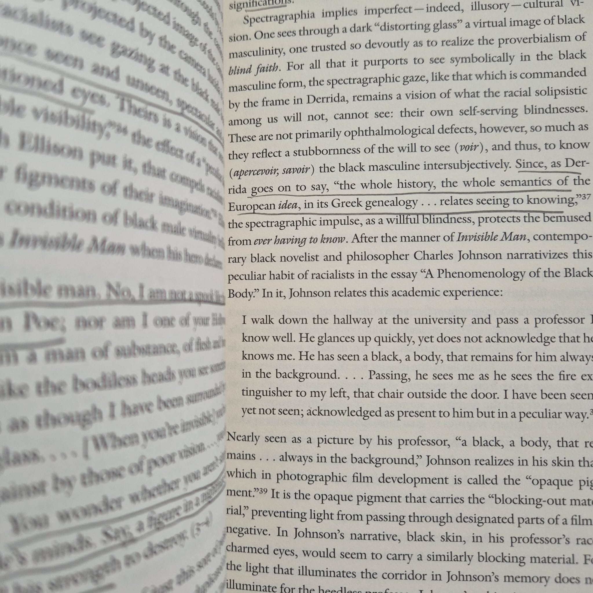 'Constructing the Black Masculine: Identity and Ideality in African American Men’s Literature and Culture, 1775–1995' by Maurice O. Wallace