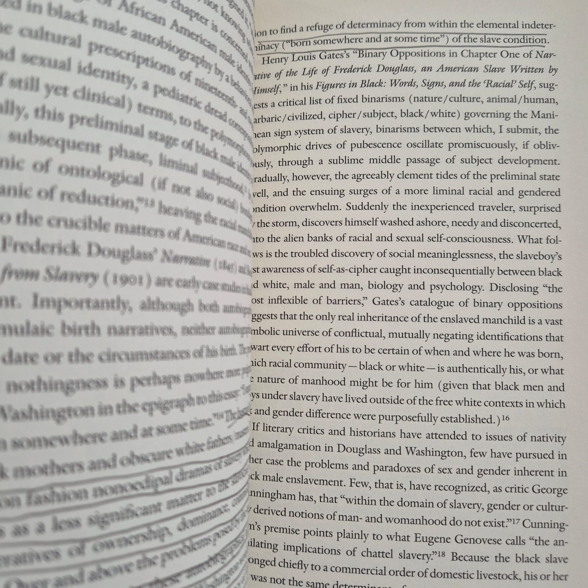 'Constructing the Black Masculine: Identity and Ideality in African American Men’s Literature and Culture, 1775–1995' by Maurice O. Wallace