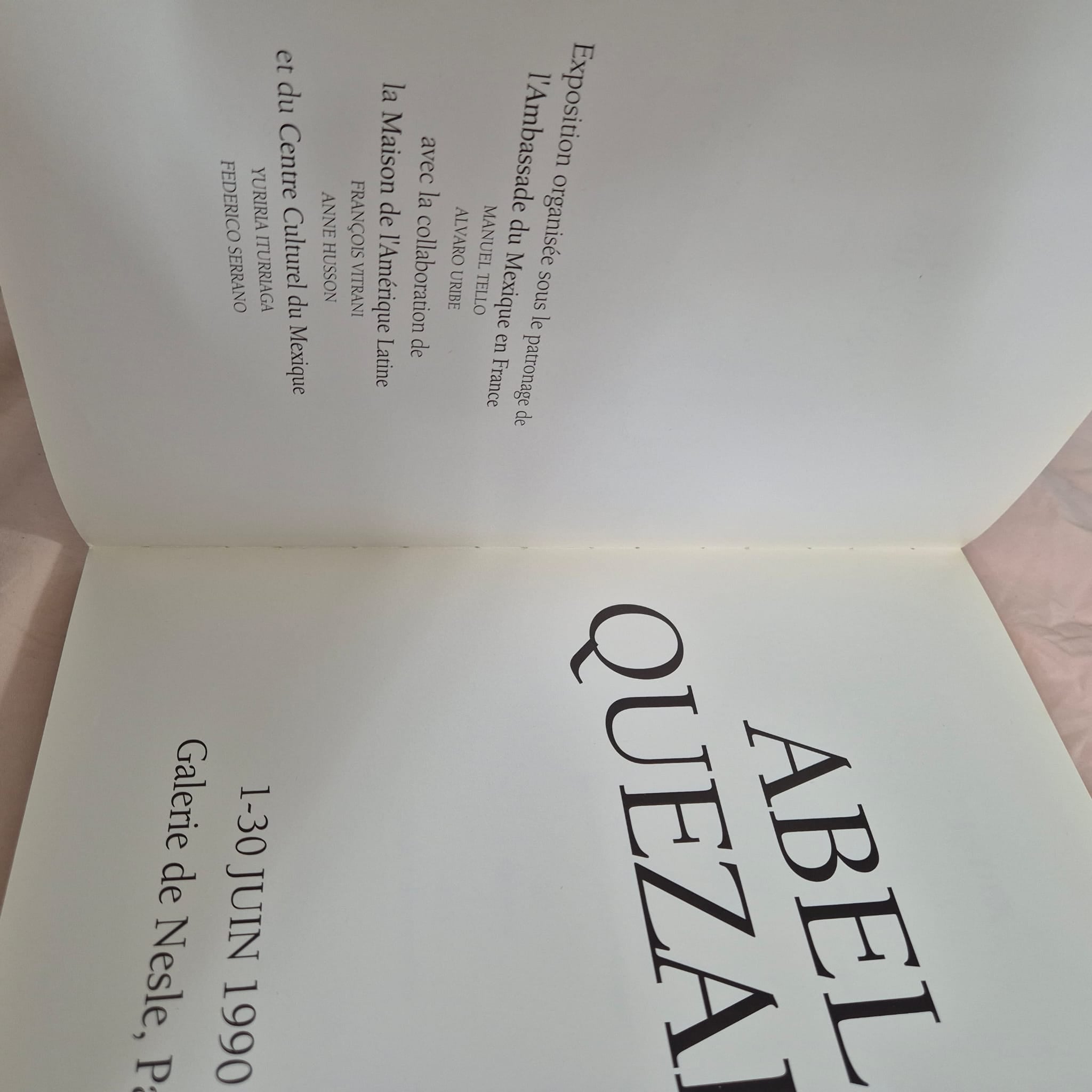 'Abel Quezada' curated by Galerie de Nesle, Paris (French)
