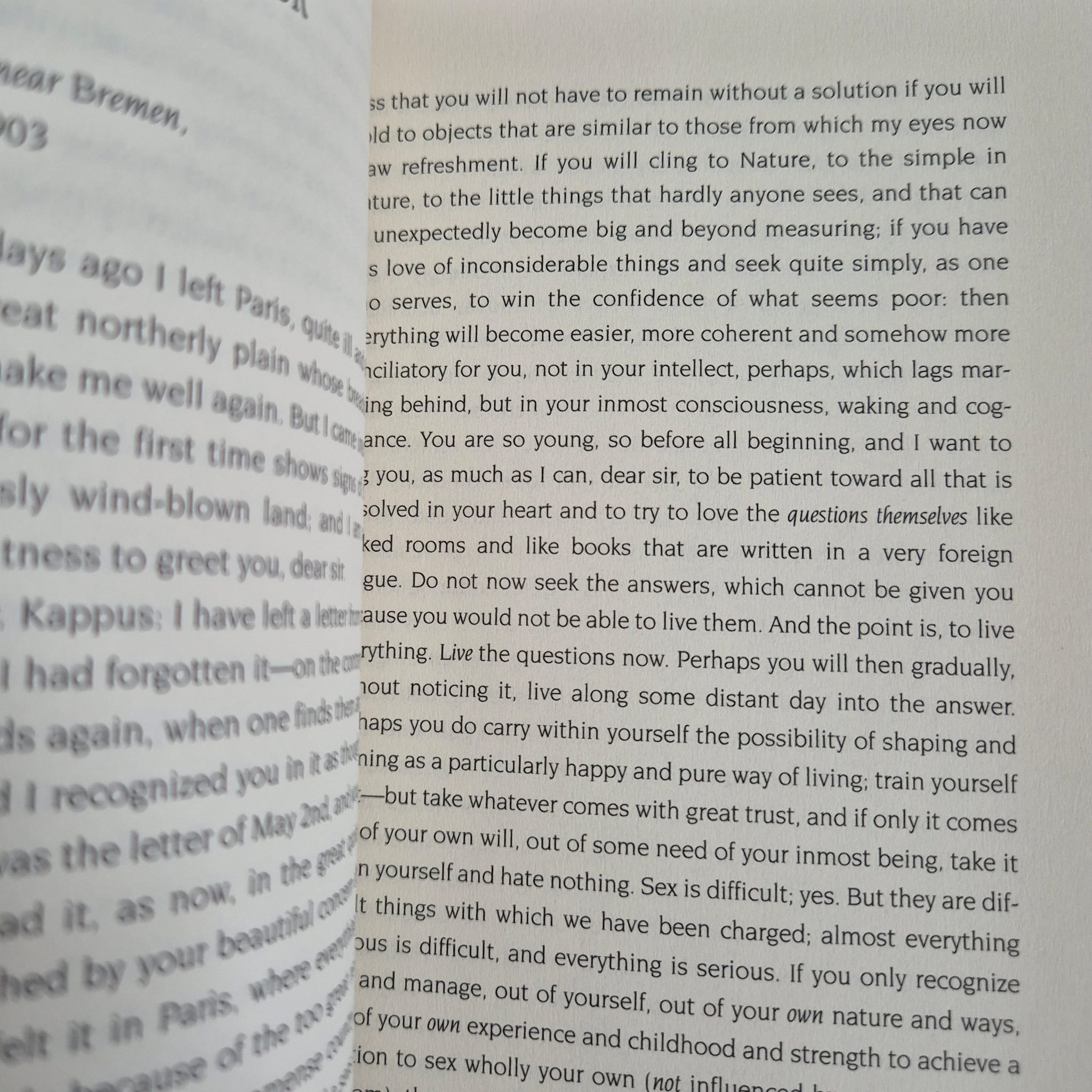 'Letters to a Young Poet' by Rainer Maria Rilke