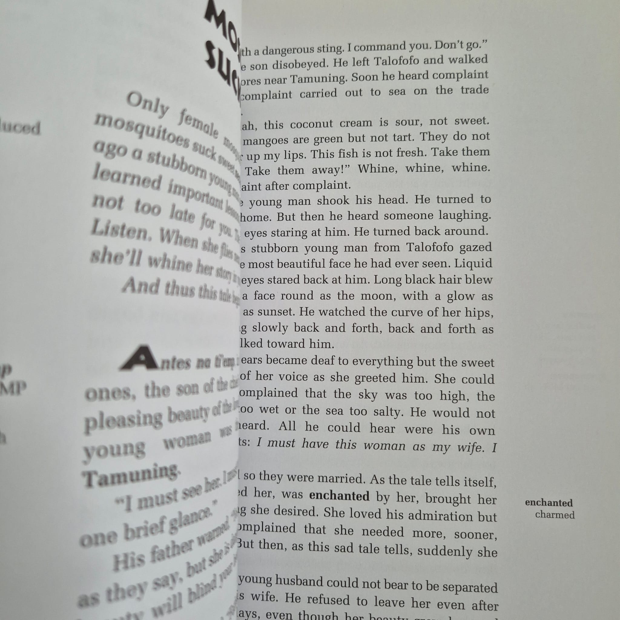 'Pacific Island Legends: Tales from Micronesia, Melanesia, Polynesia, and Australia' by Bo Flood, Beret E. Strong and William Flood