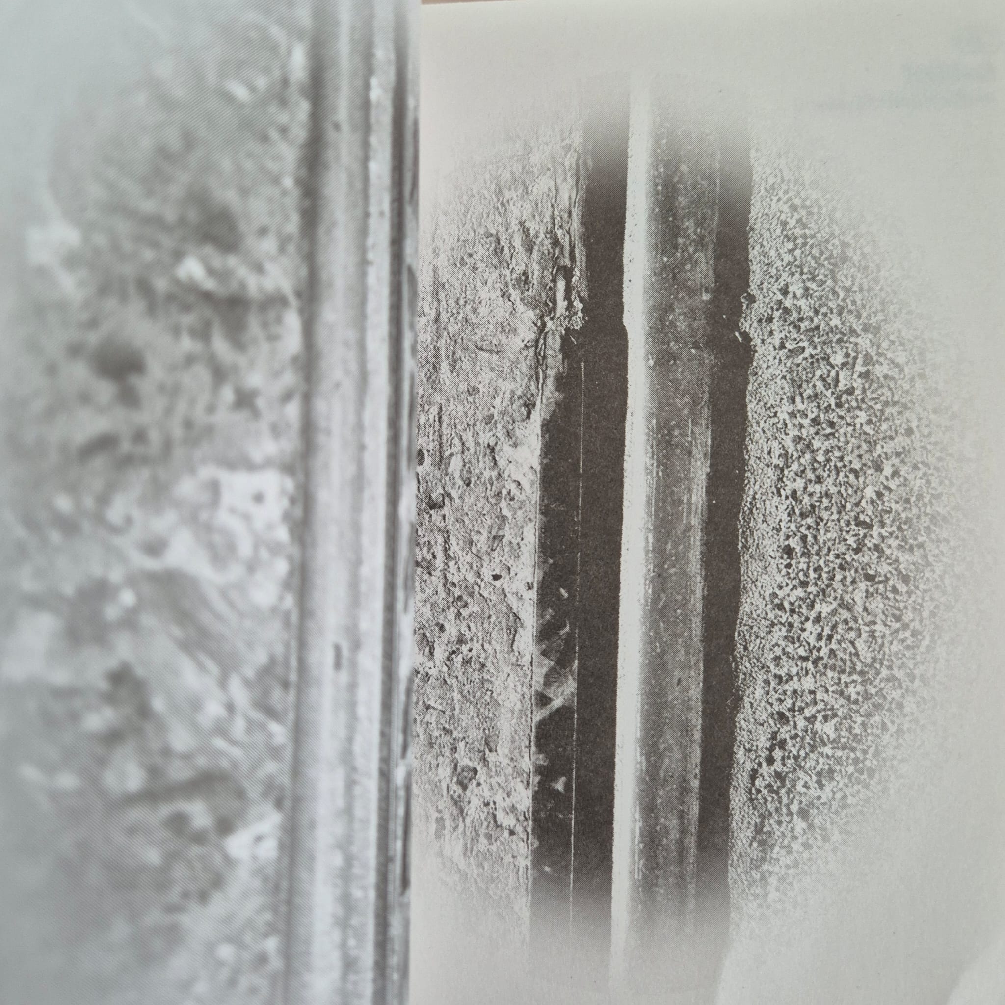 'Tramjatra: Imagining Melbourne and Kolkata by Tramways' edited by Mick Douglas