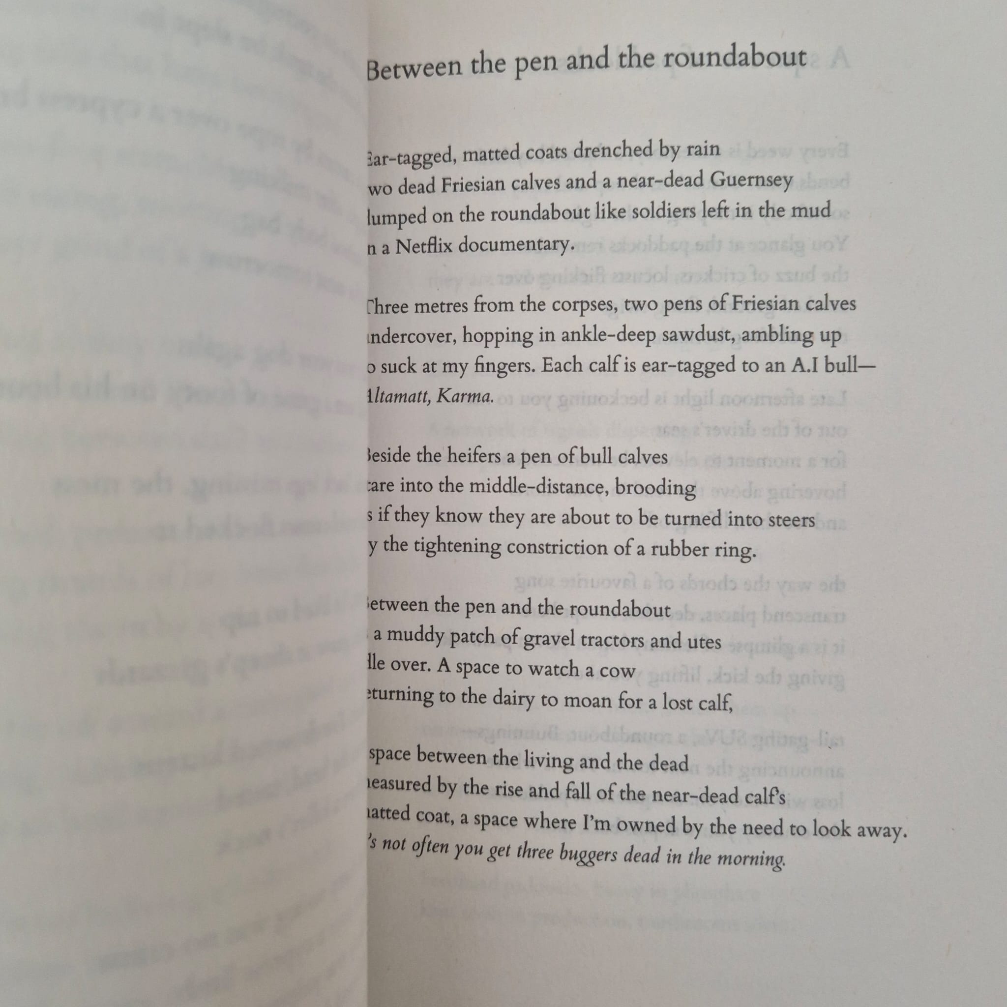‘Feldspar’ by Brendan Ryan