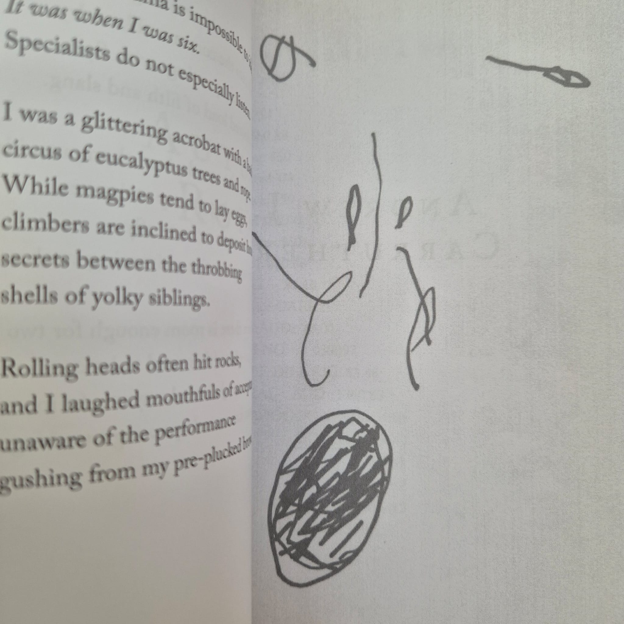‘Rabbit: The Sound Issue (Number Seven)’ by Various Contributors
