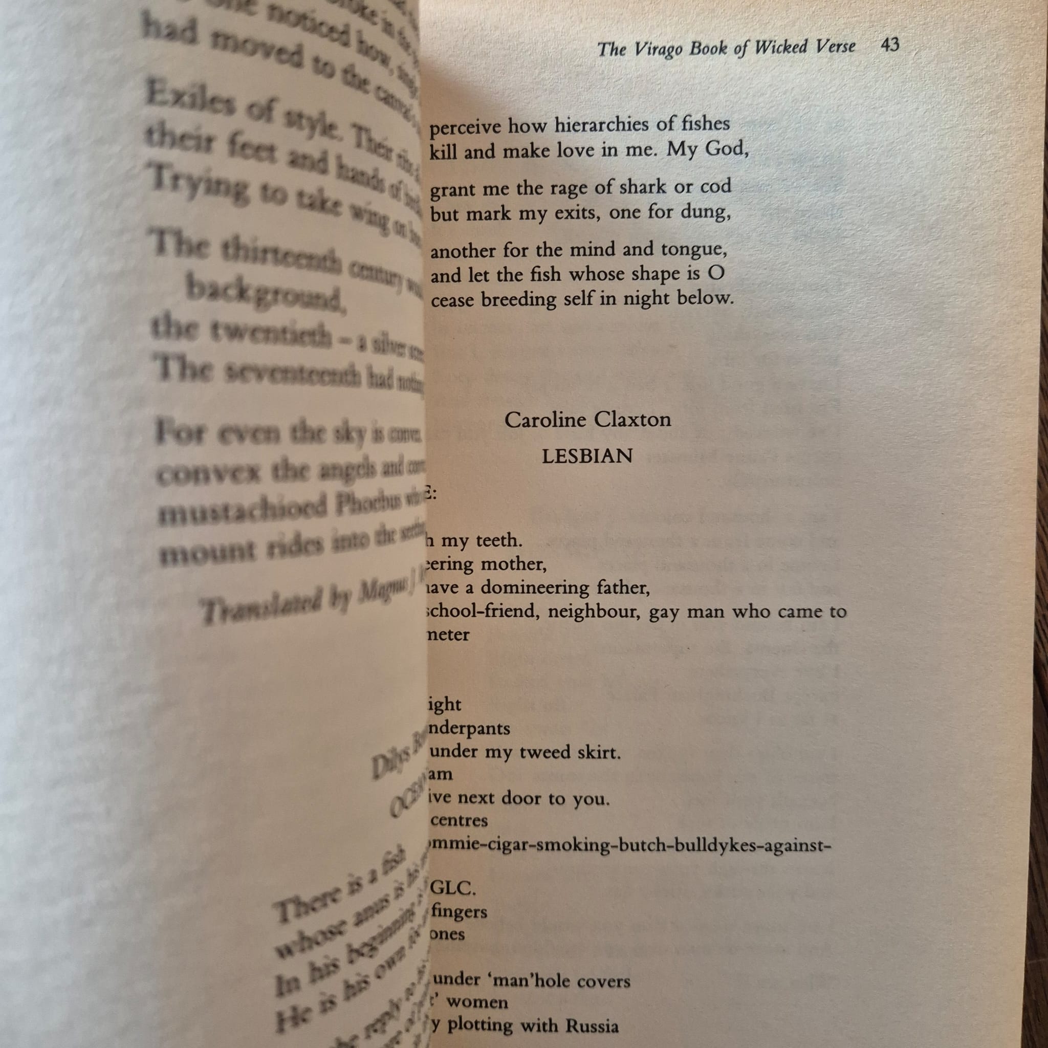 'The Virago Book of Wicked Verse' edited by Jill Dawson