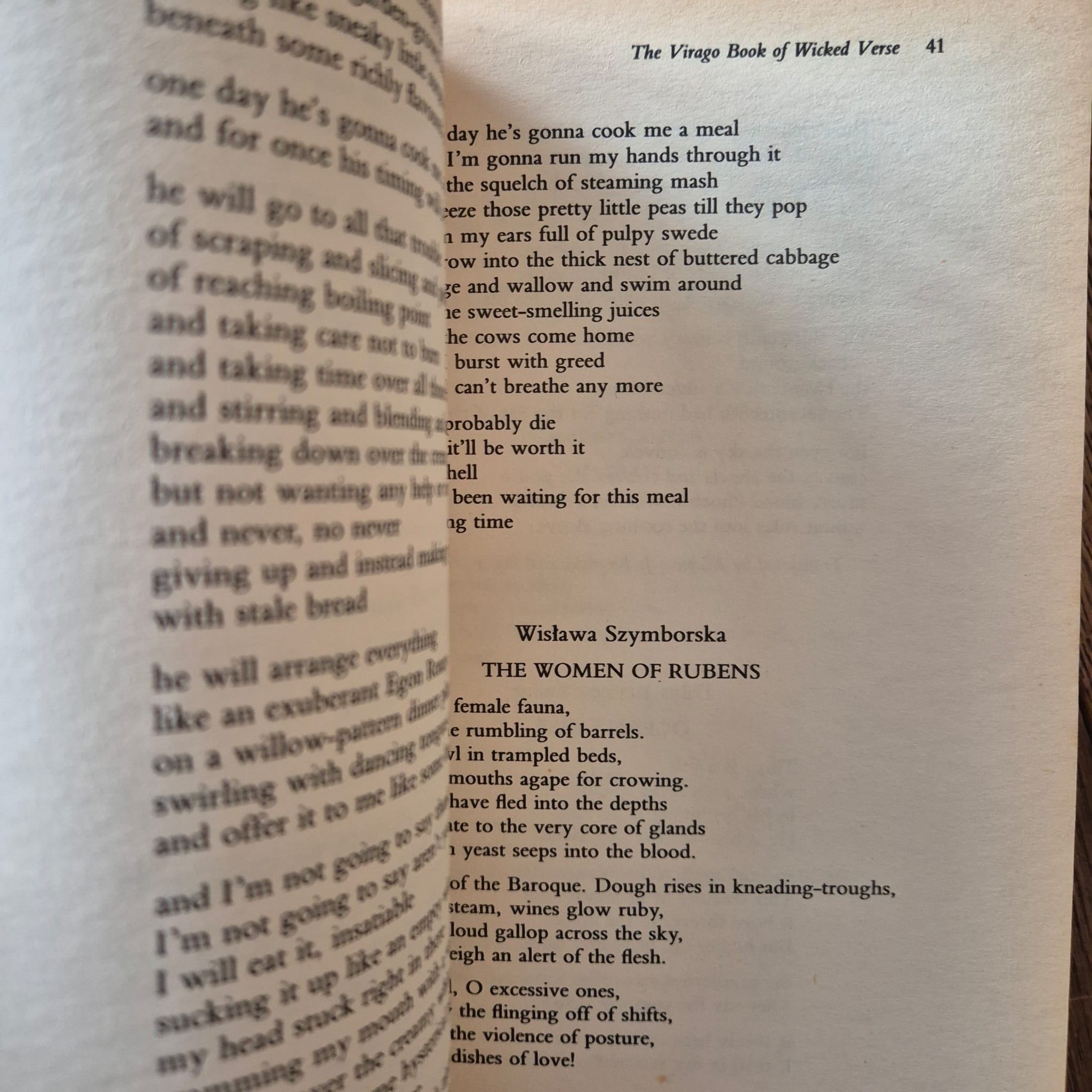'The Virago Book of Wicked Verse' edited by Jill Dawson