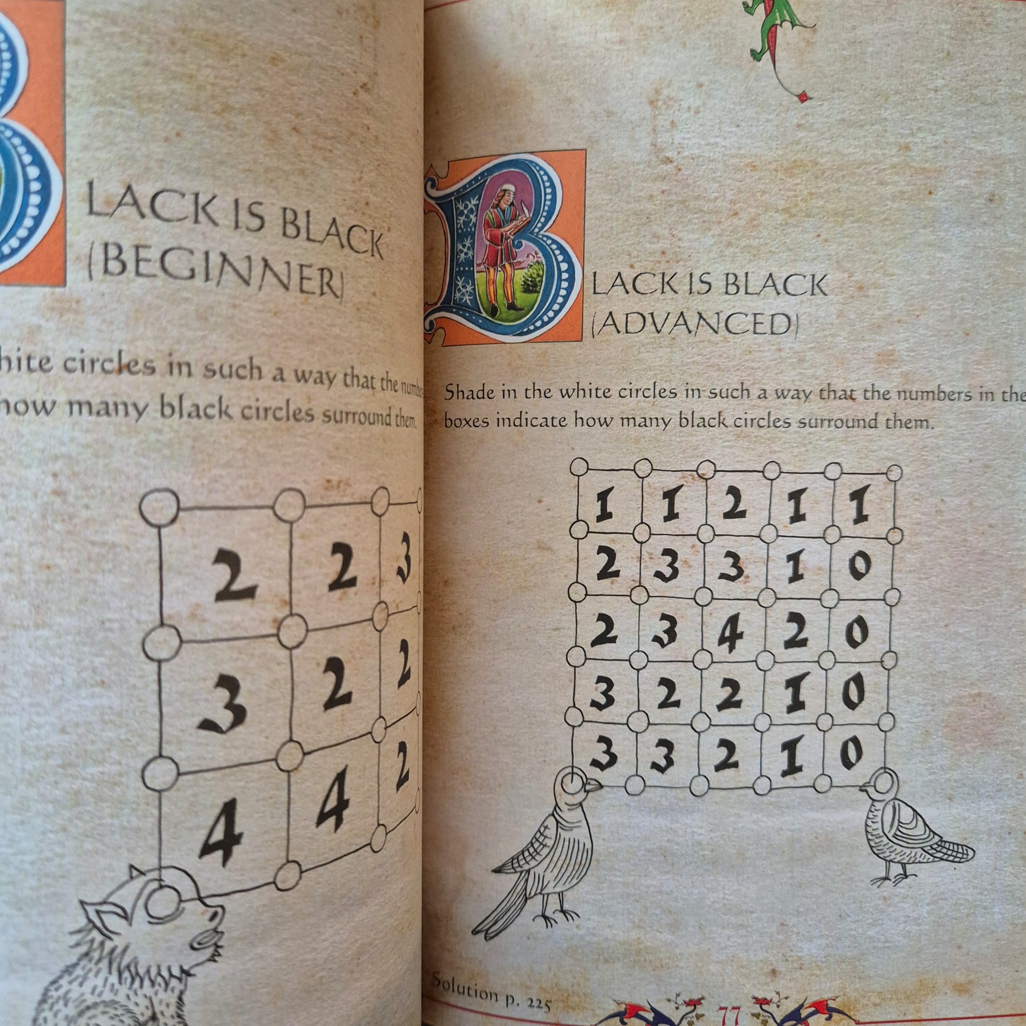 'The Big Book of Paradoxes, Puzzles and Problems' by Fabrice Mazza