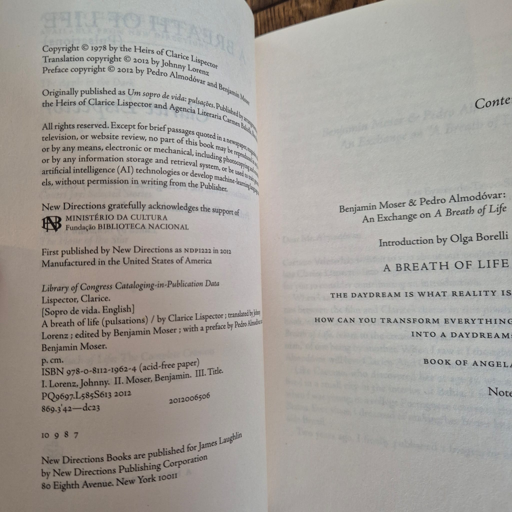 new directions x clarice lispector | bower books selections