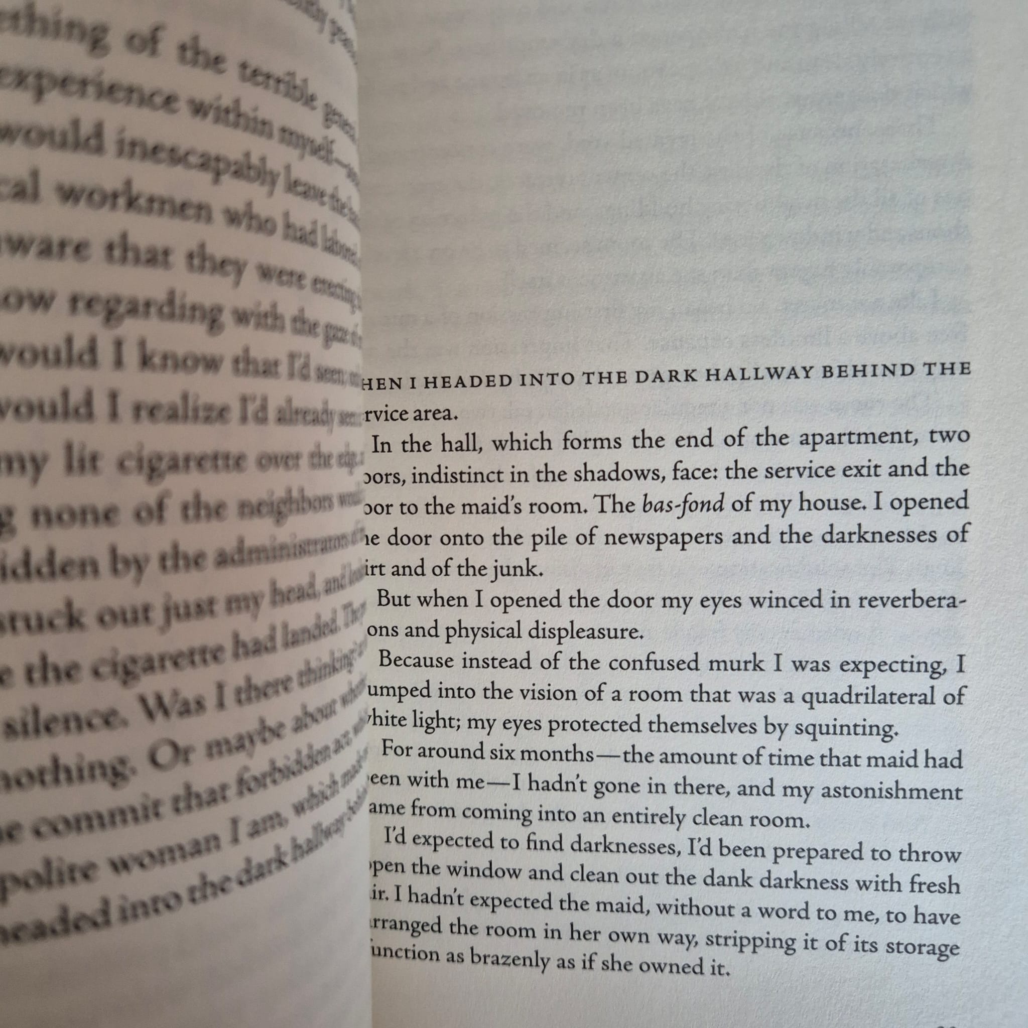 new directions x clarice lispector | bower books selections