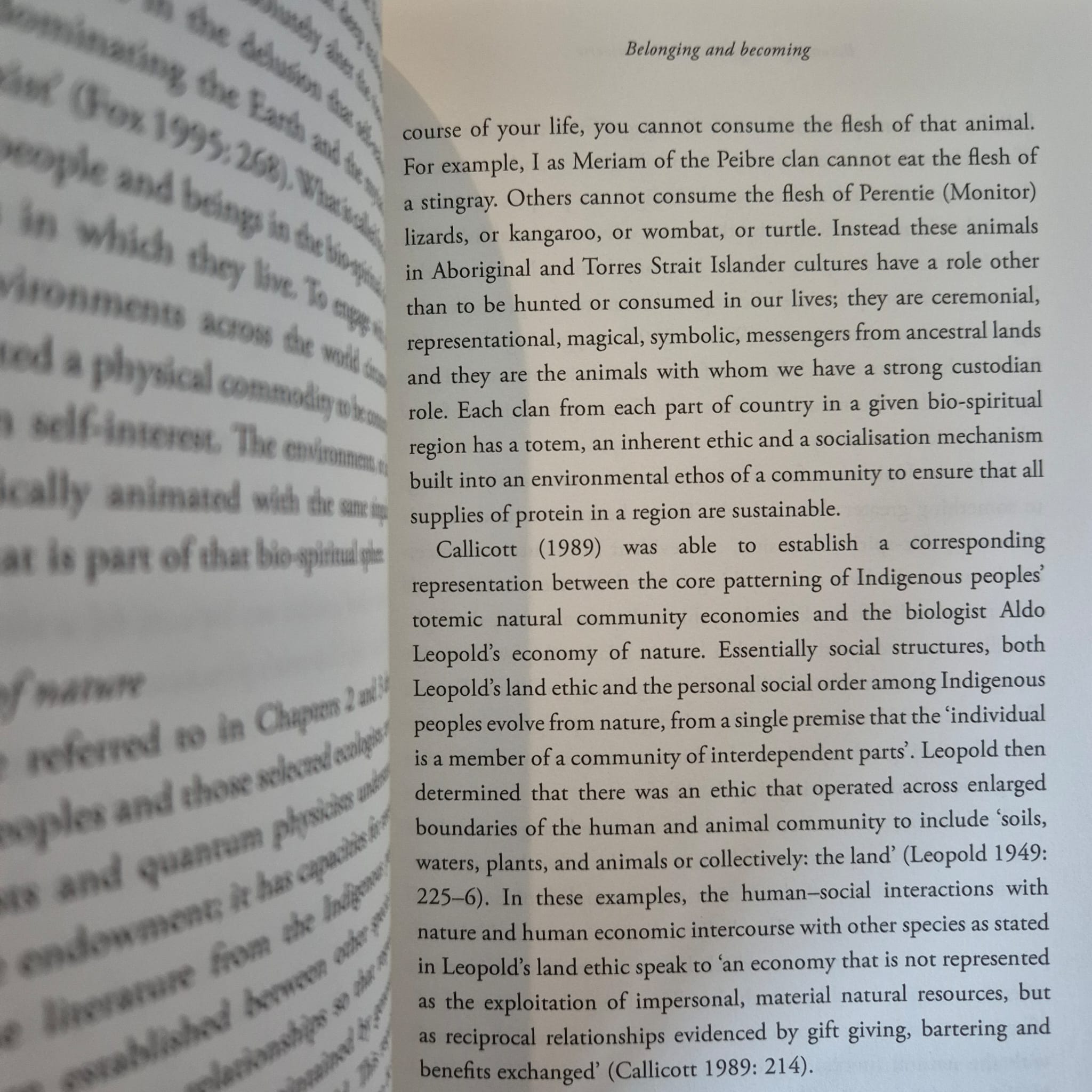 'Becoming Indigenous to the Universe: Reflections on Living Systems, Indigeneity and Citizenship' by Kerry Arabena