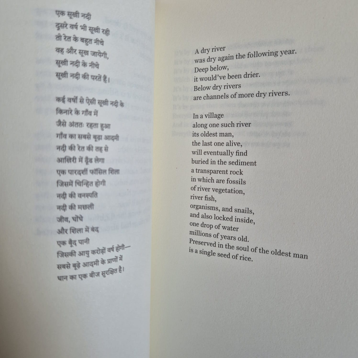 ‘Treasurer of Piggy Banks’ by Vinod Kumar Shukla