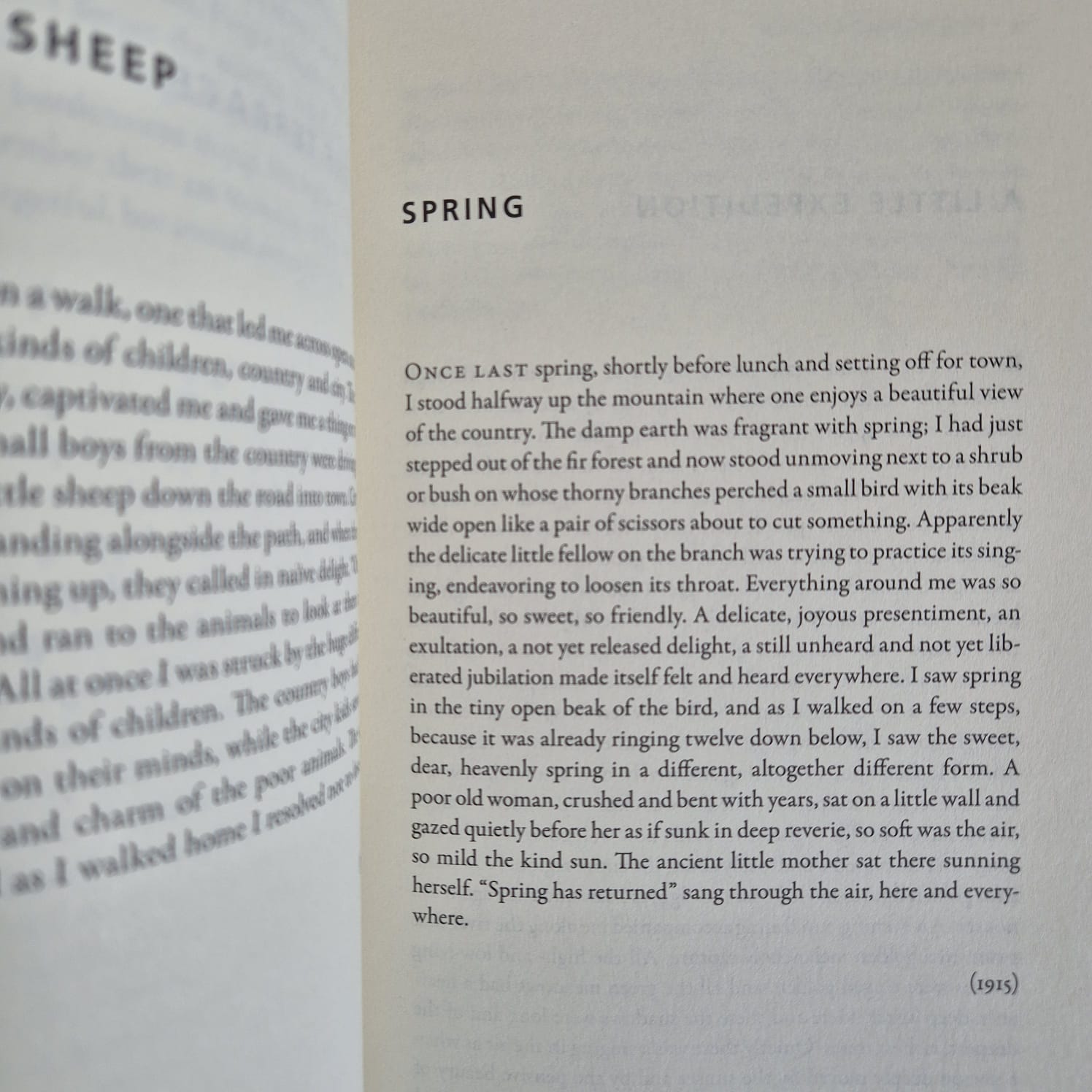 ‘Girlfriends, Ghosts, and Other Stories’ by Robert Walser
