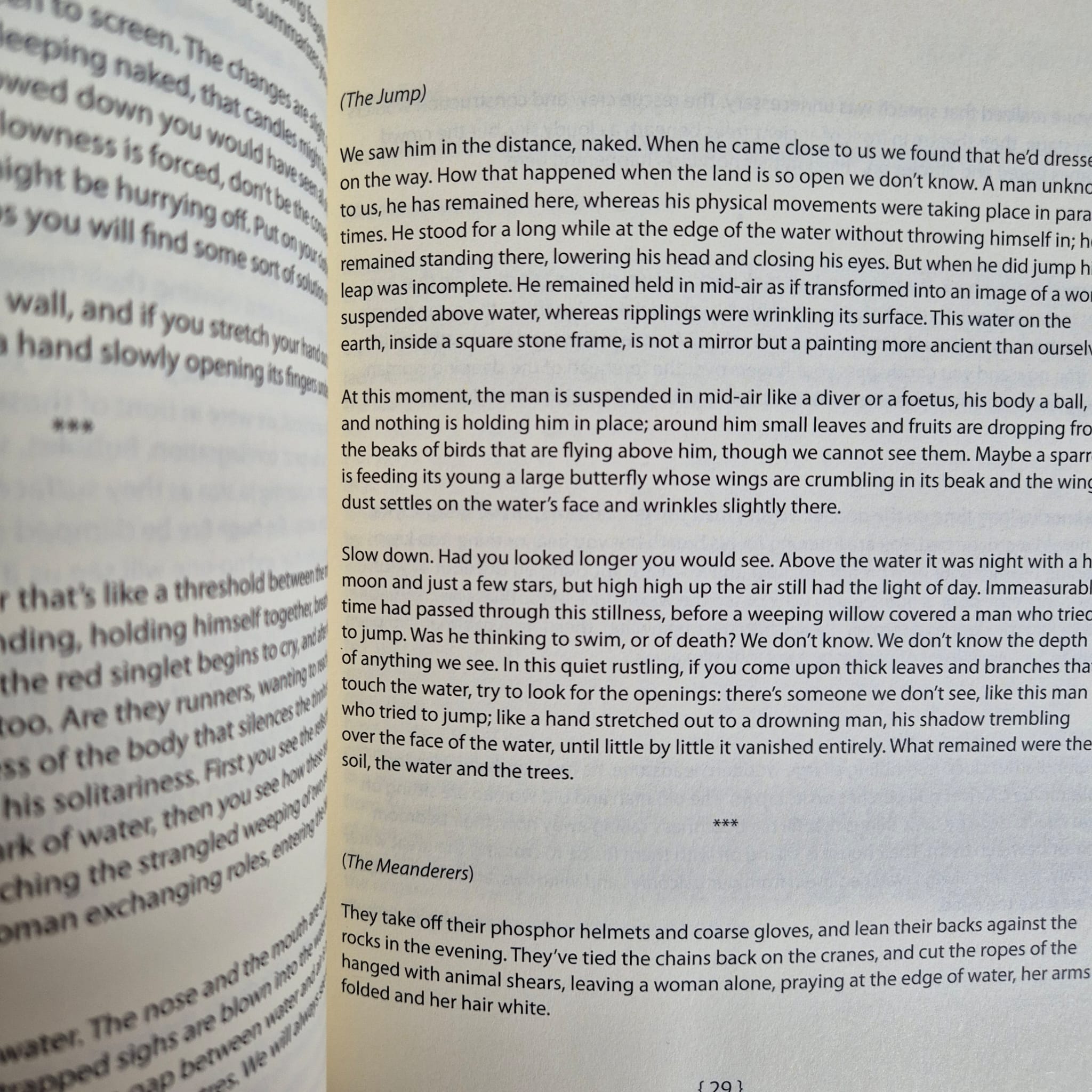 ‘A Tree Whose Name I Don’t Know’ by Golan Haji