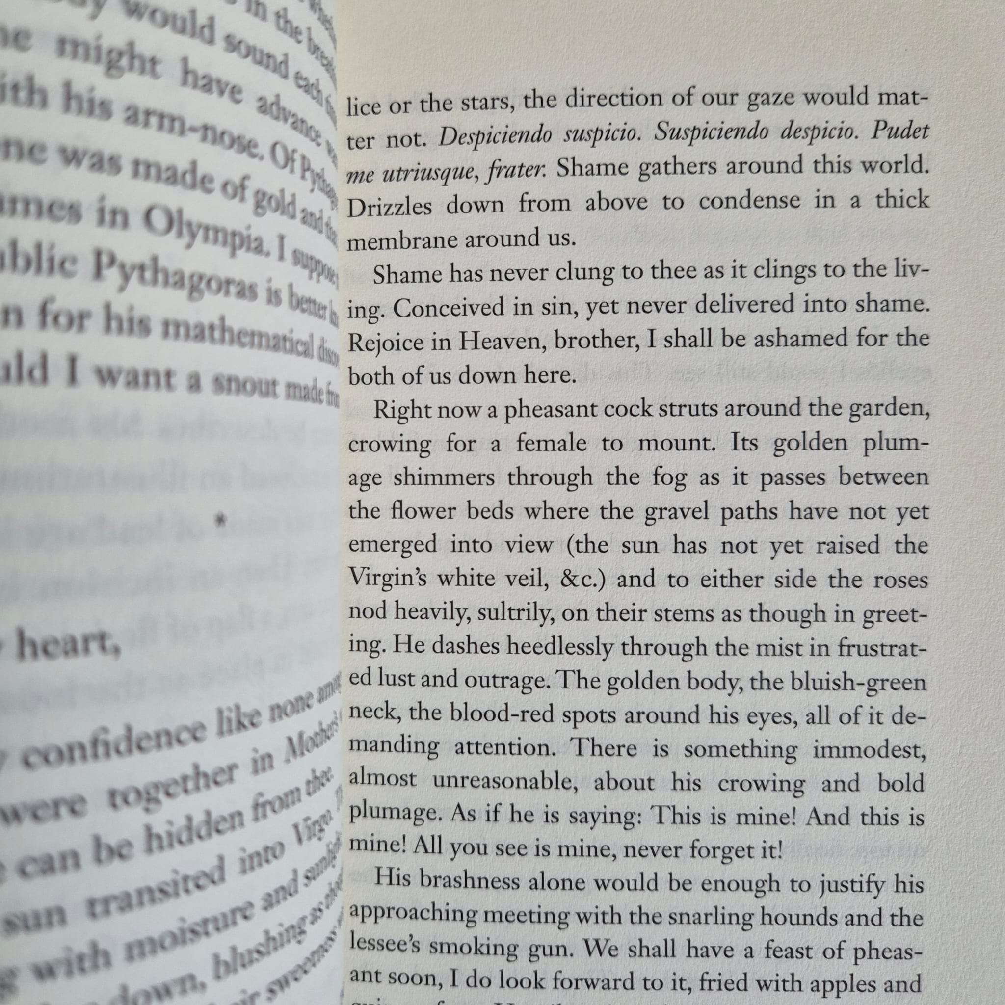 ‘Sublunar: Awake Visions and Temptations’ by Harald Voetmann