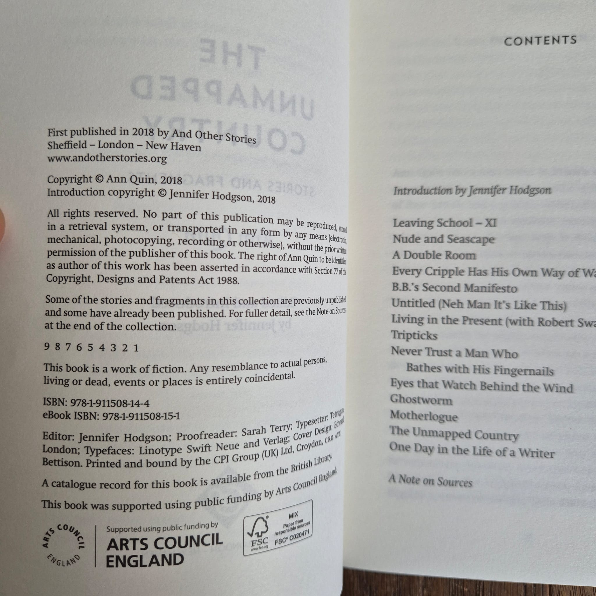 ‘The Unmapped Country: Stories &amp; Fragments’ by Ann Quin