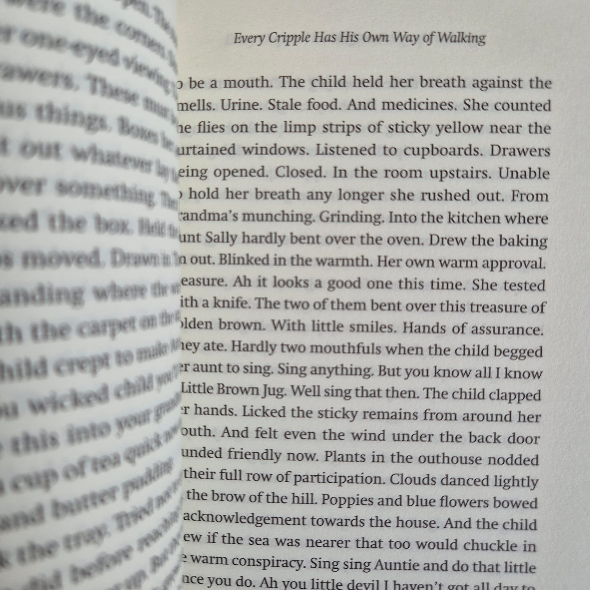 ‘The Unmapped Country: Stories &amp; Fragments’ by Ann Quin