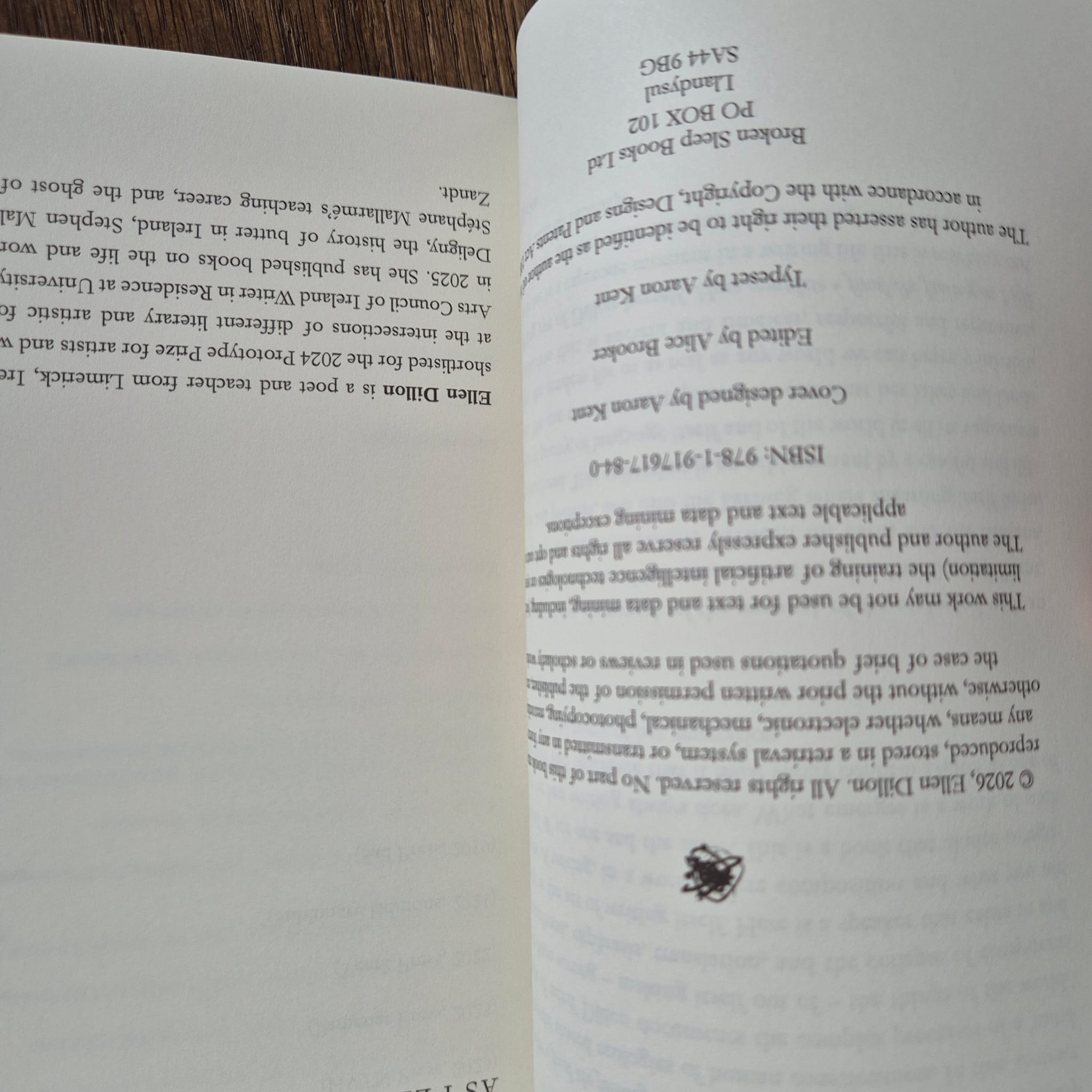 ‘How complete + final the feeling as I lift its curve in the net’ by Ellen Dillon