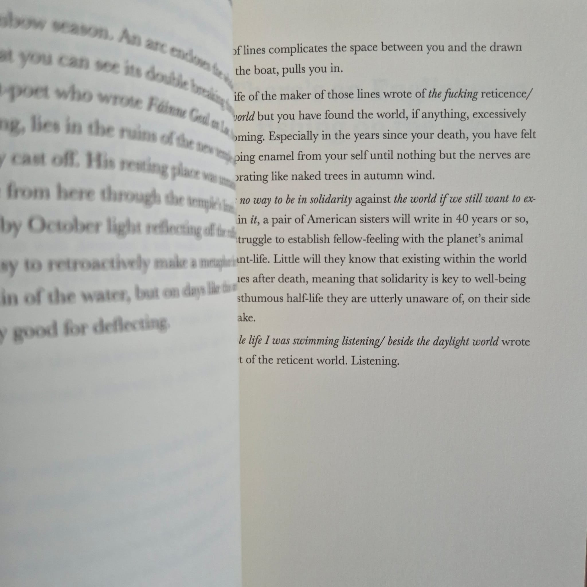 ‘How complete + final the feeling as I lift its curve in the net’ by Ellen Dillon