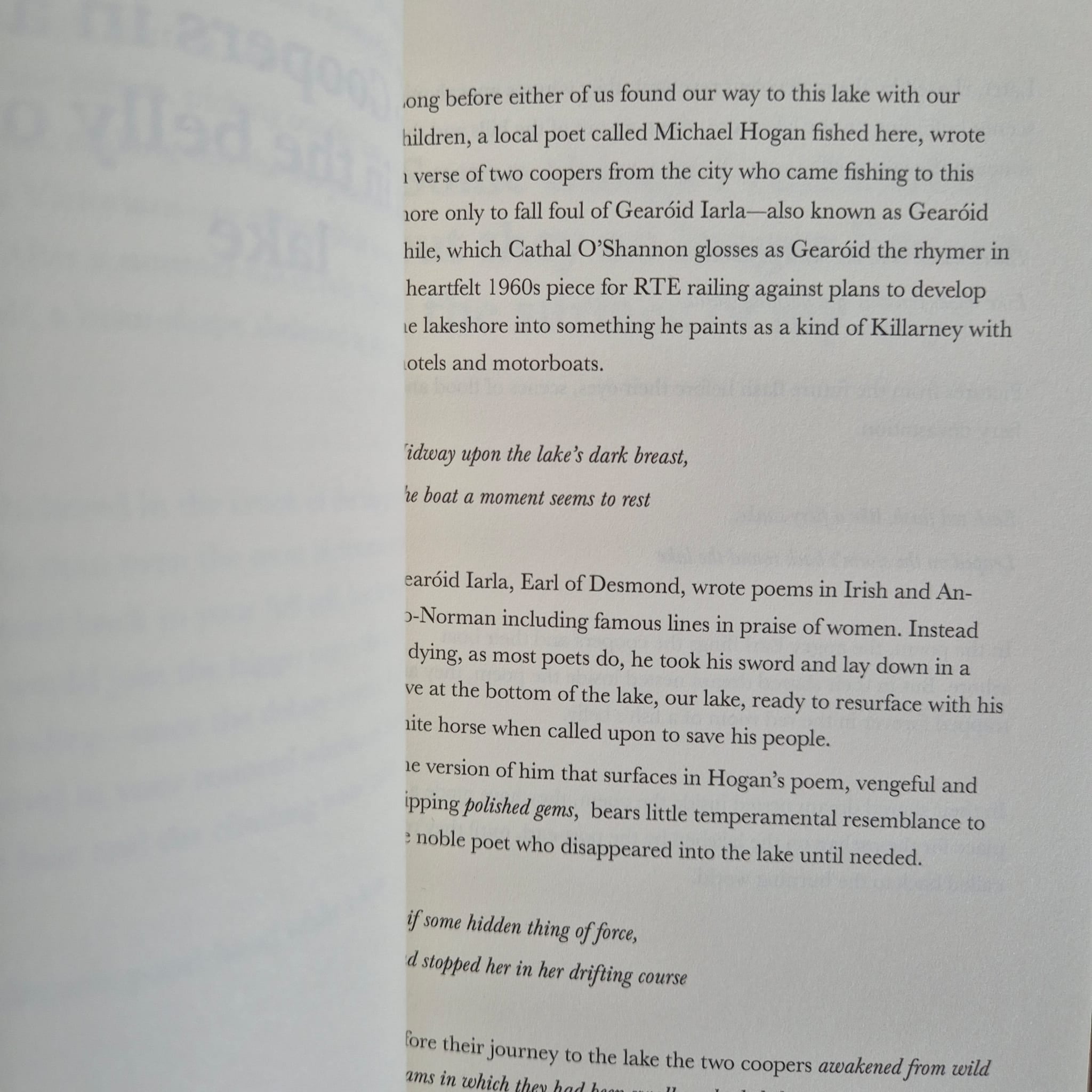 ‘How complete + final the feeling as I lift its curve in the net’ by Ellen Dillon
