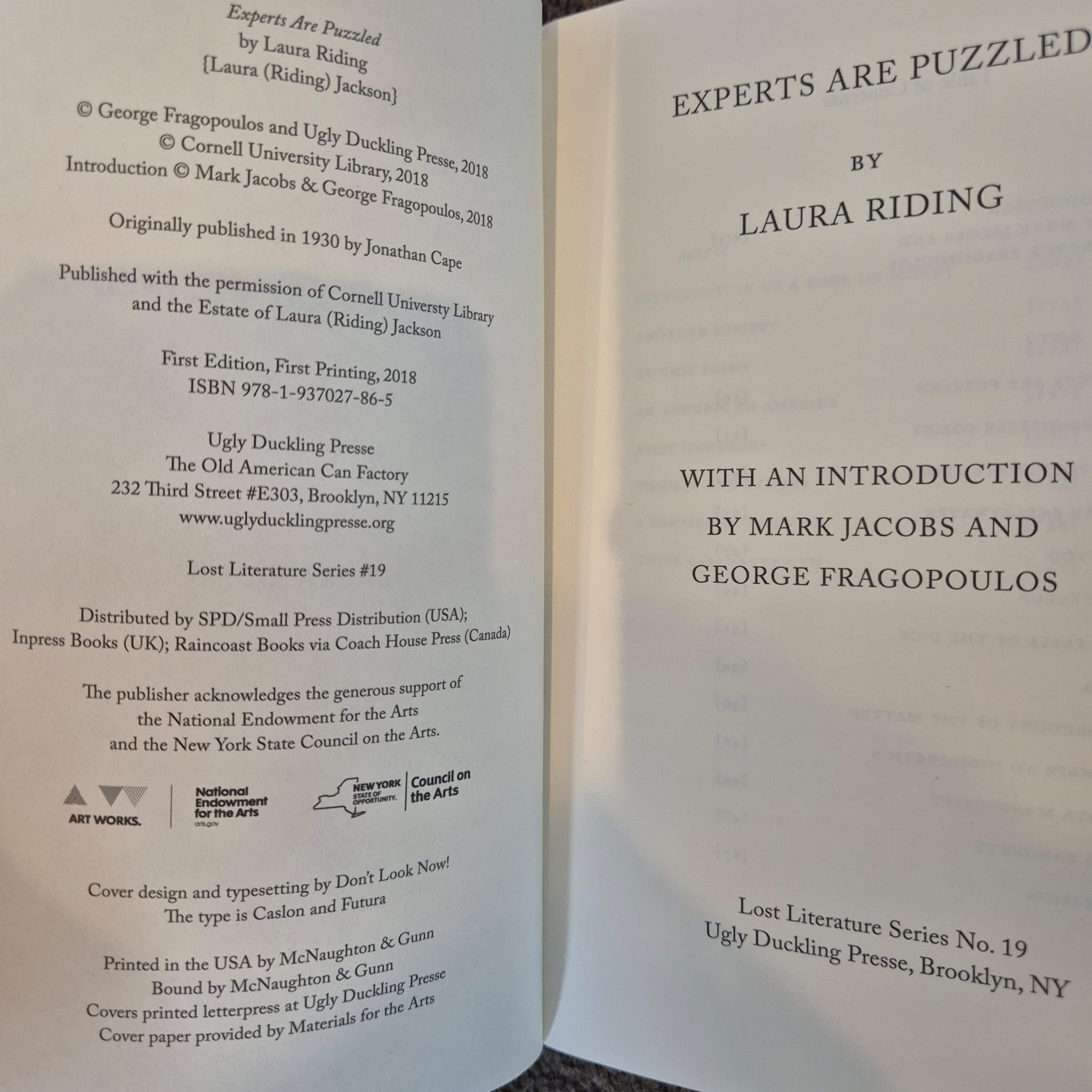 ‘Experts Are Puzzled’ by Laura Riding