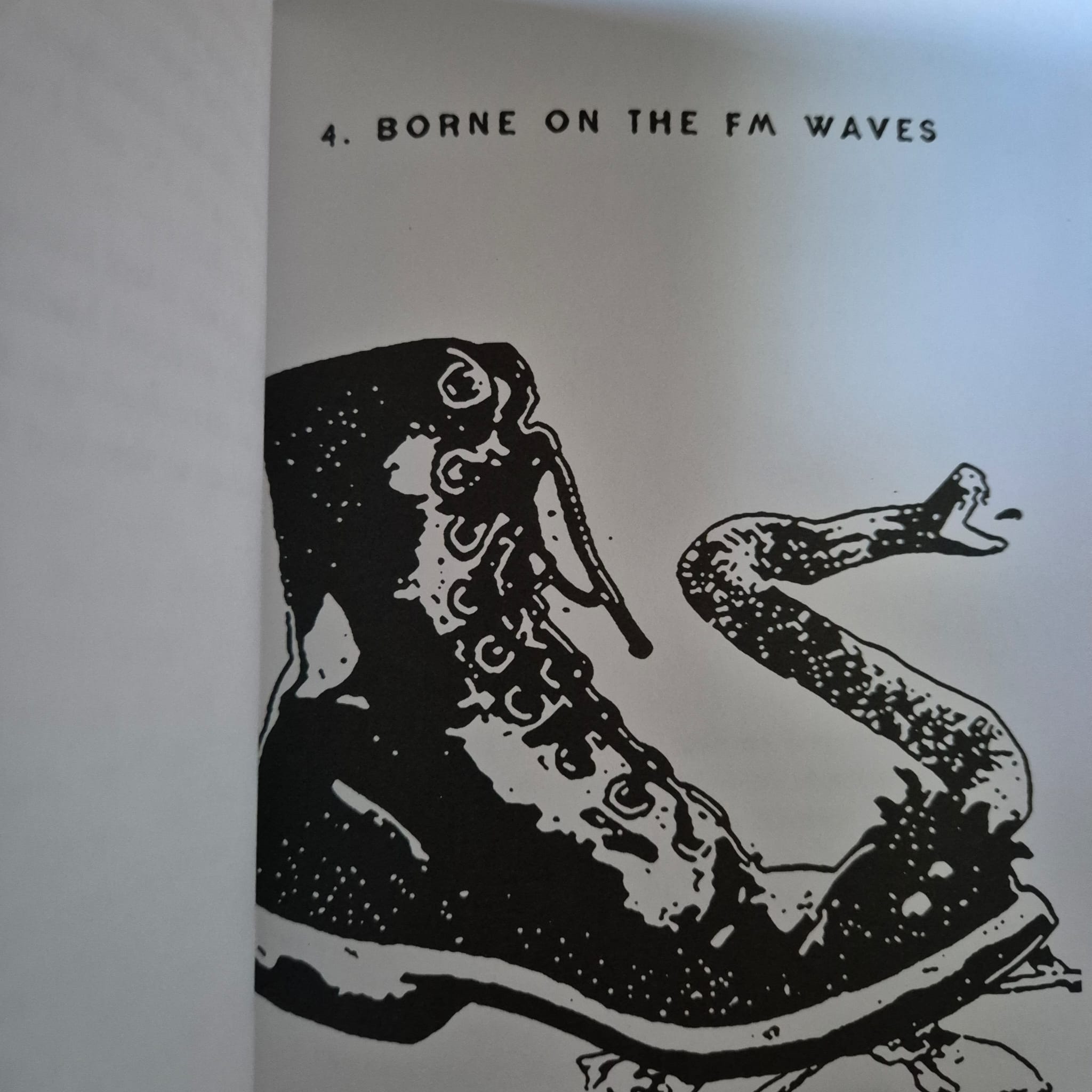 'Tranny: Confessions of Punk Rock’s Most Infamous Anarchist Sellout' by Laura Jane Grace