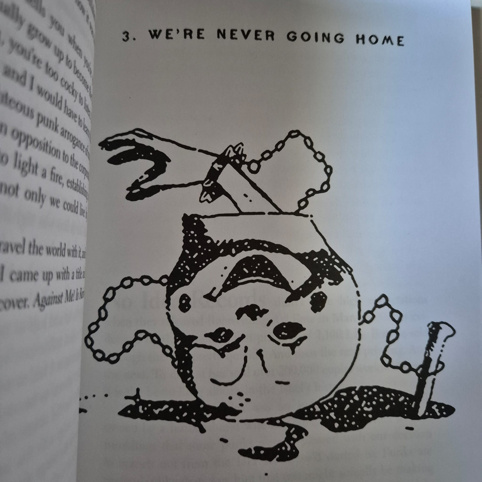 'Tranny: Confessions of Punk Rock’s Most Infamous Anarchist Sellout' by Laura Jane Grace