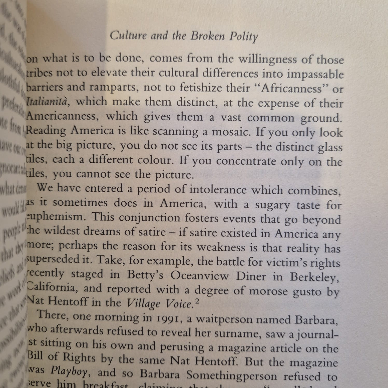 'Culture of Complaint: The Fraying of America' by Robert Hughes