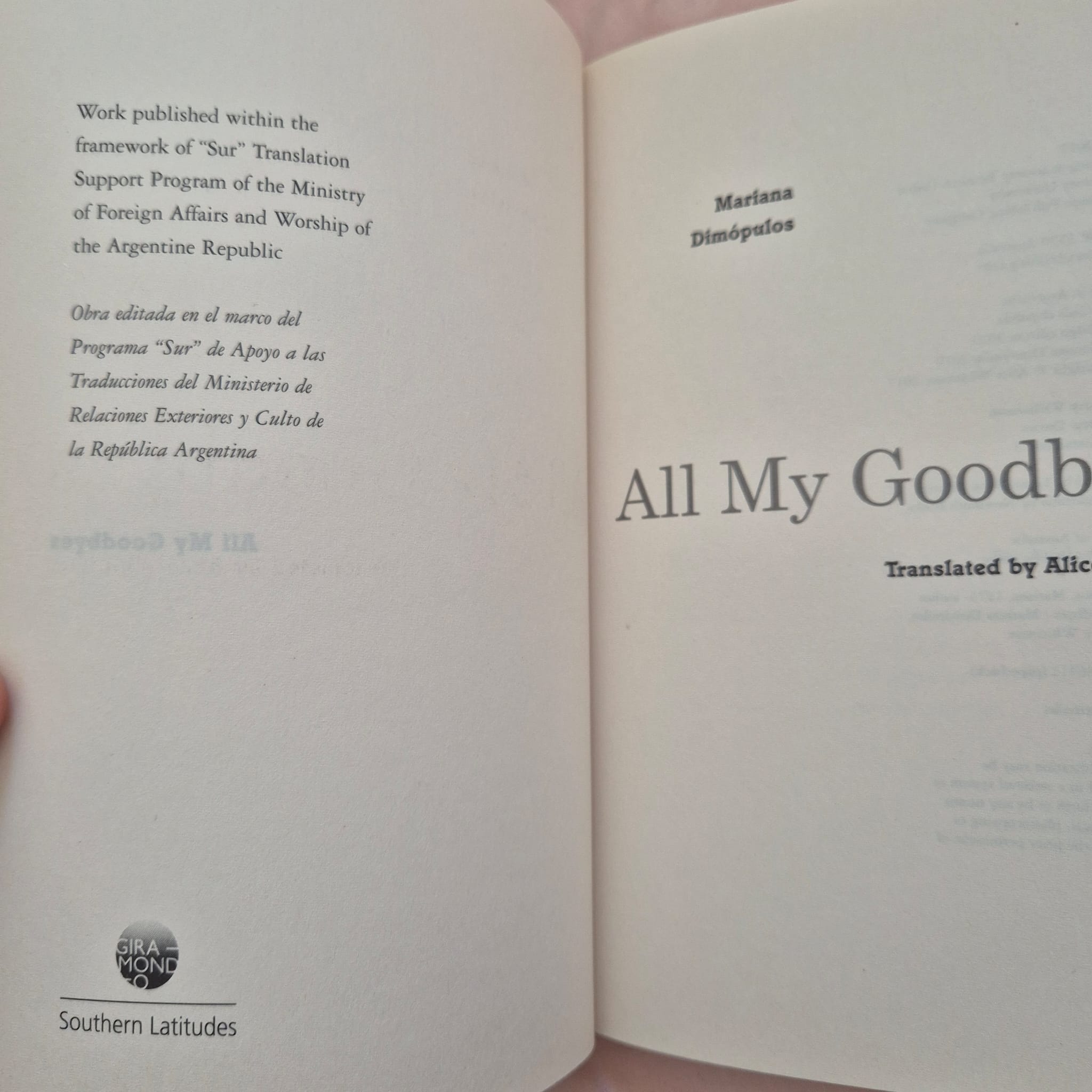 'All My Goodbyes' by Mariana Dimópulos