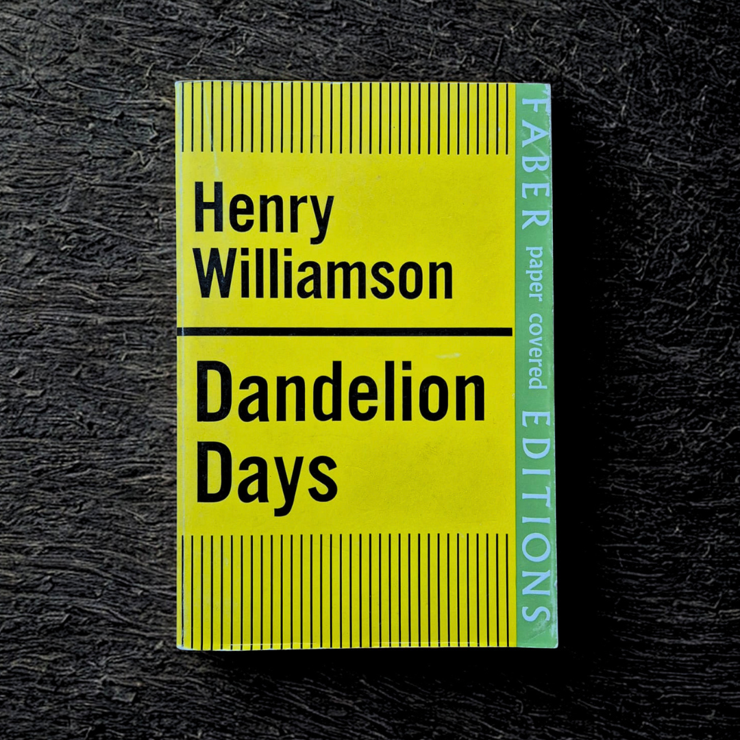 'Dandelion Days' by Henry Williamson