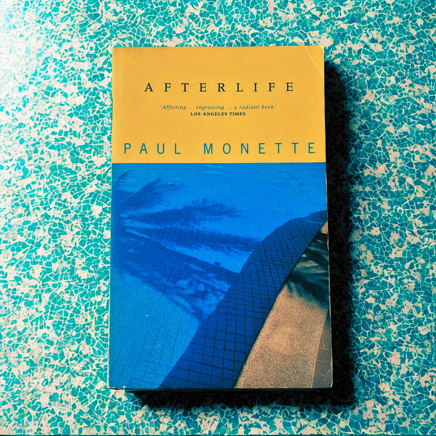 'Afterlife' by Paul Monette
