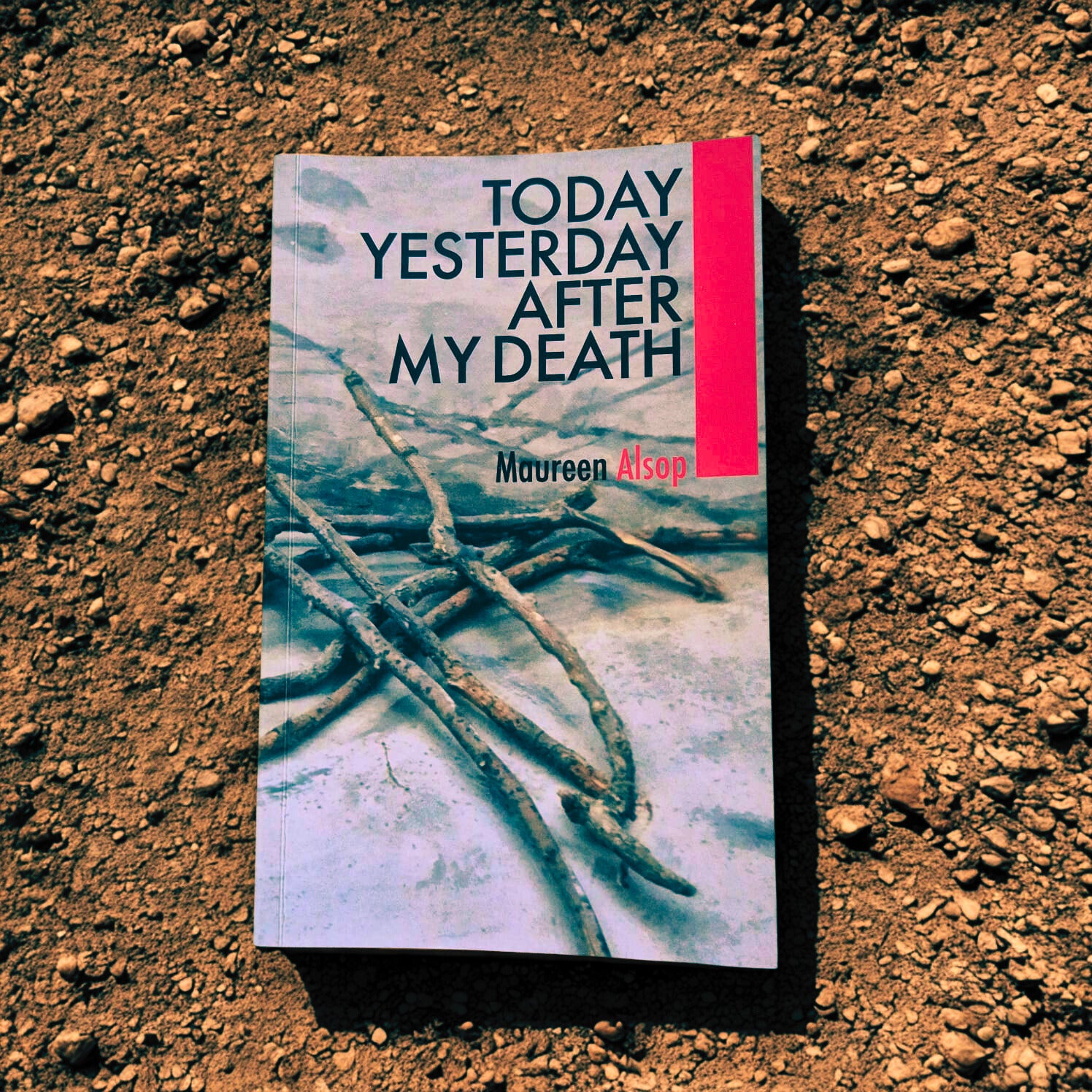 'Today Yesterday After My Death' by Maureen Alsop