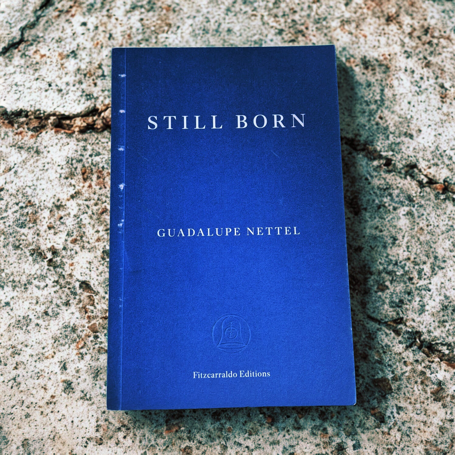 'Still Born' by Guadalupe Nettel