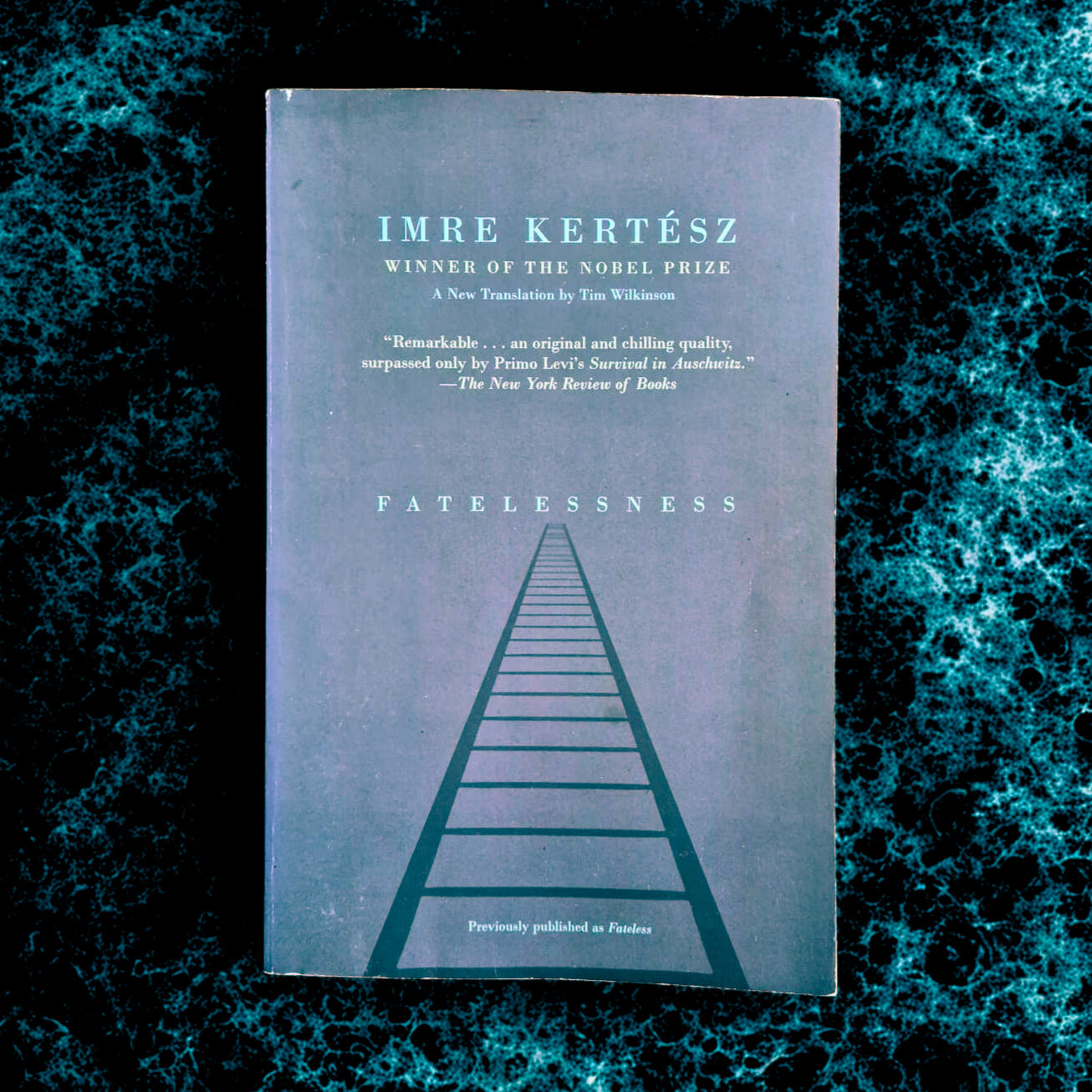 'Fatelessness' by Imre Kertész