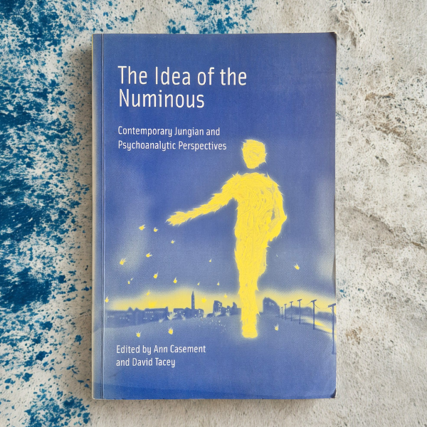 'The Idea of the Numinous: Contemporary Jungian and Psychoanalytic Perspectives' edited by Ann Casement and David Tacey