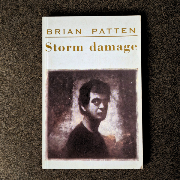 'Storm Damage' by Brian Patten