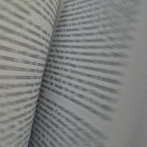 'Looking Back on the End of the World' edited by Semiotext(e)