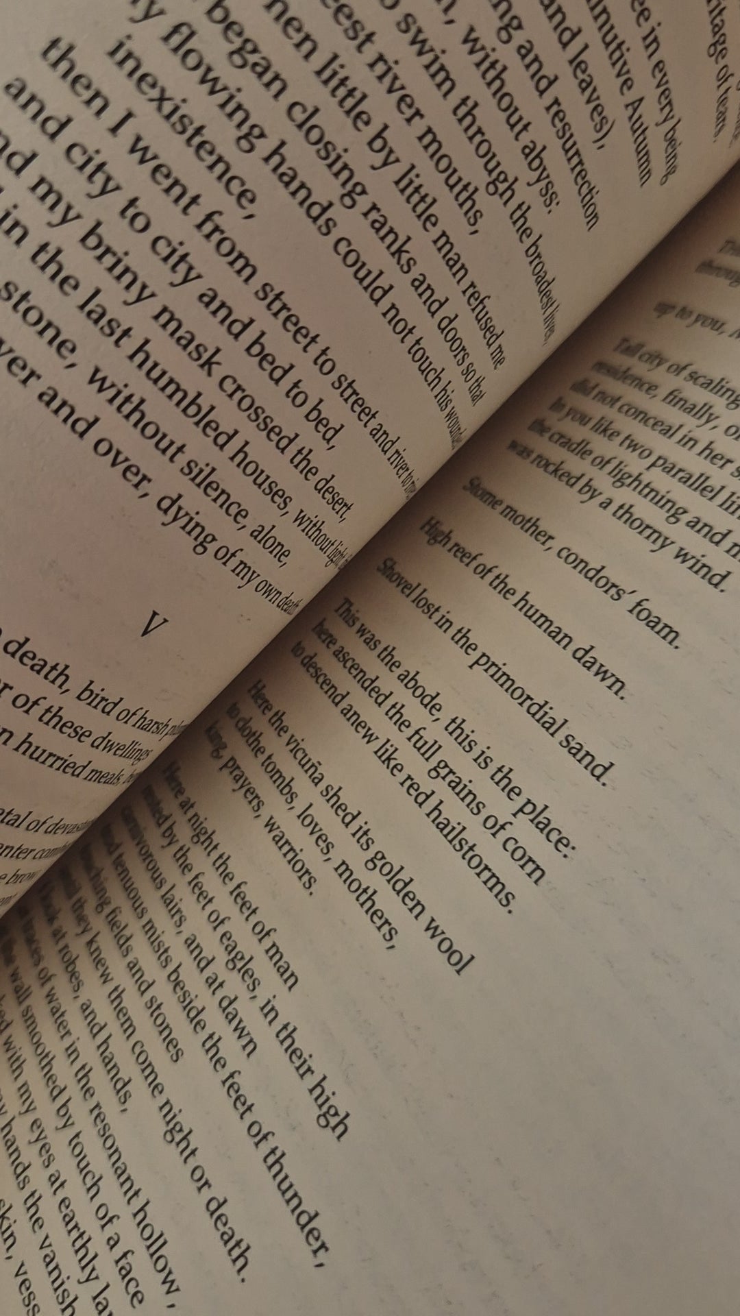 'Let the Rail Splitter Awake' by Pablo Neruda