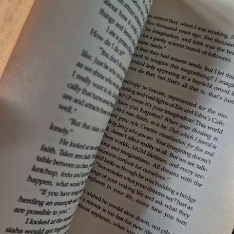 'Illusions' & 'Jonathan Livingston Seagull' by Richard Bach