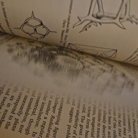'On Growth and Form' by D'Arcy Wentworth Thompson