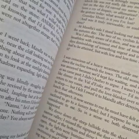 'The Wall of the Plague' by André Brink