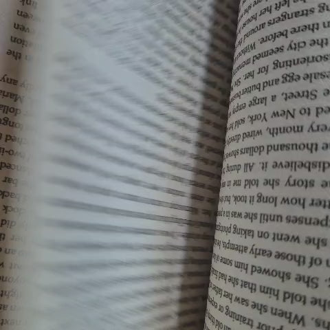 'Leviathan' by Paul Auster